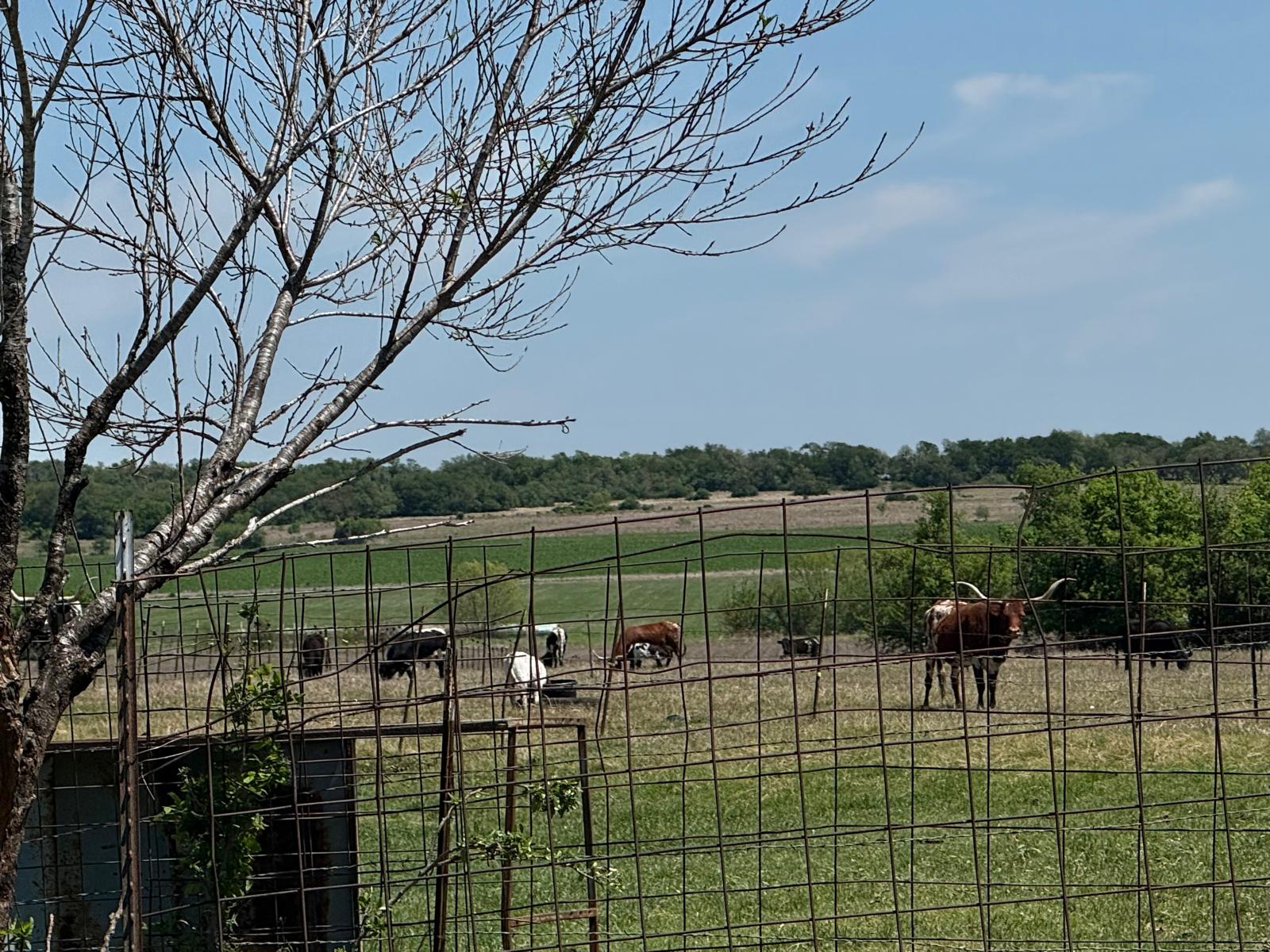 main property photo 21