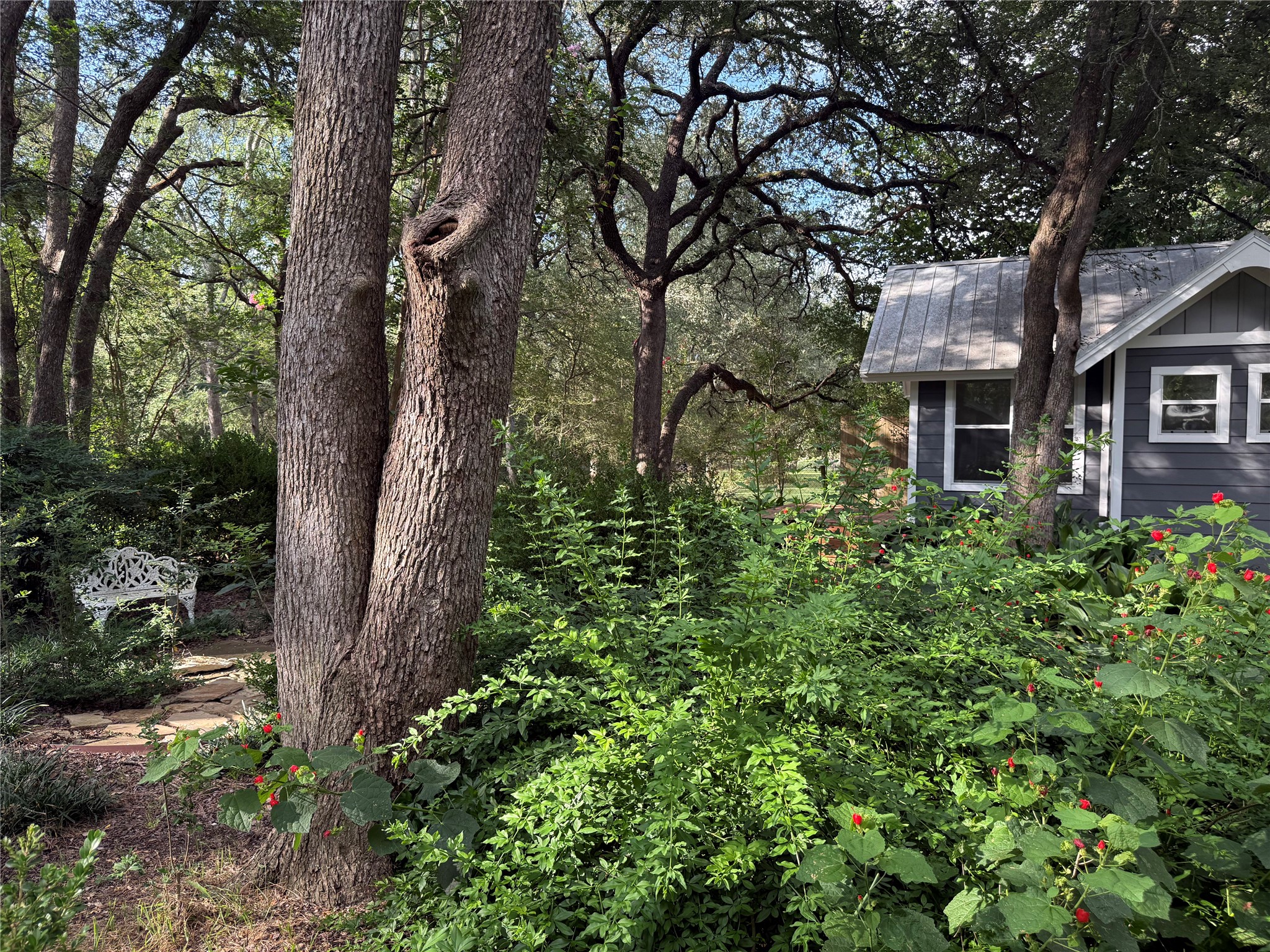 main property photo 21