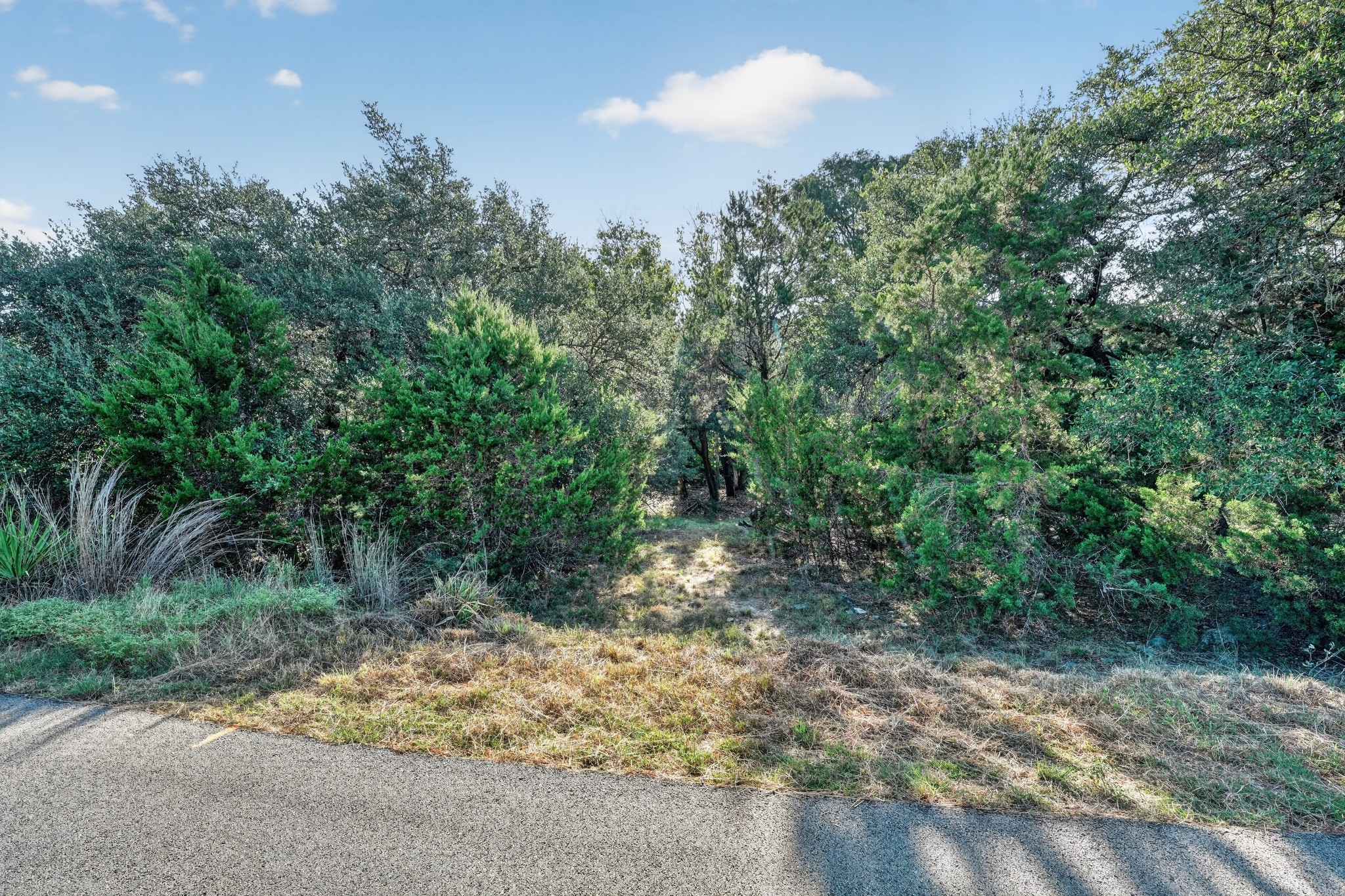main property photo 17