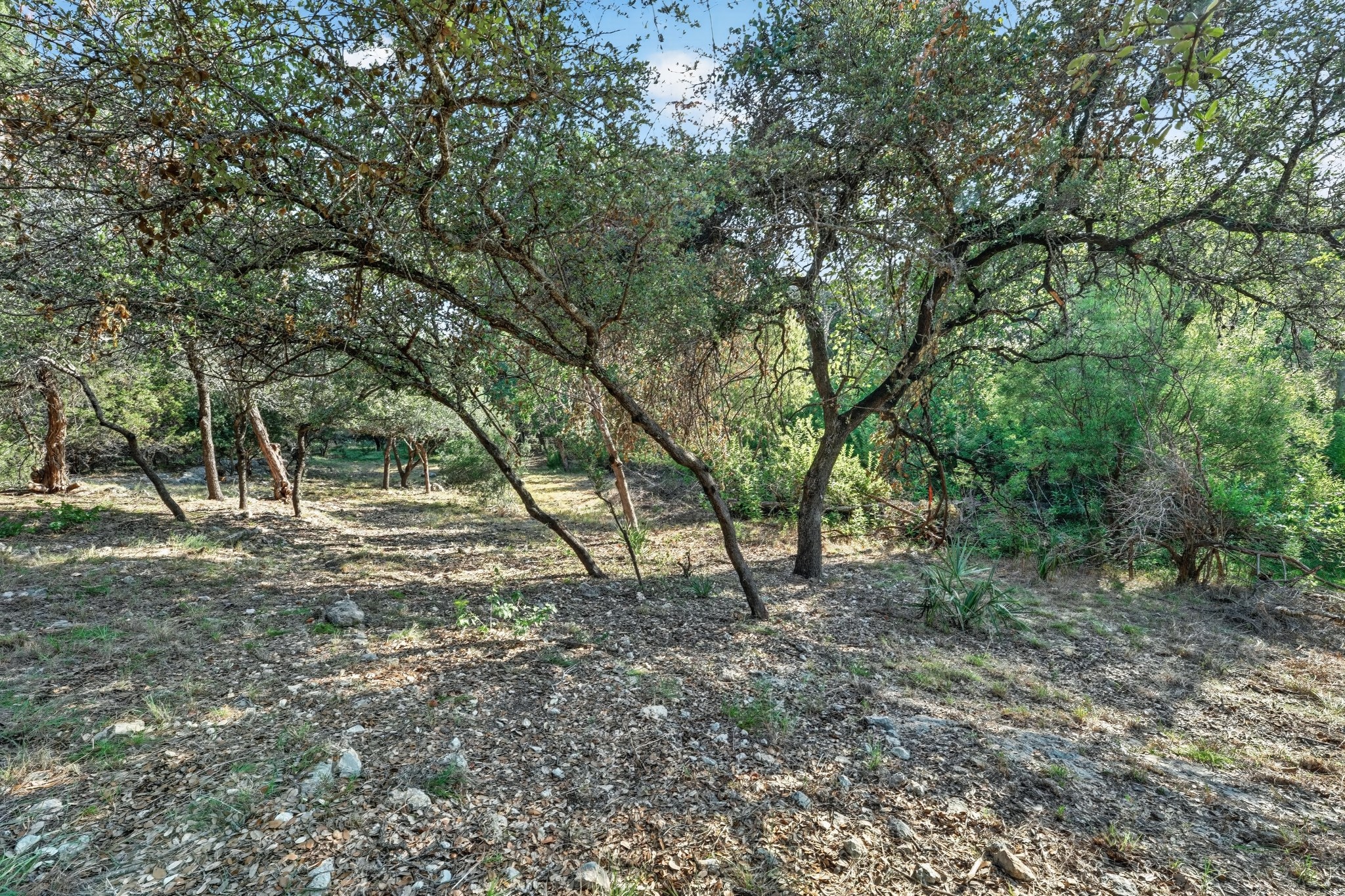 main property photo 22