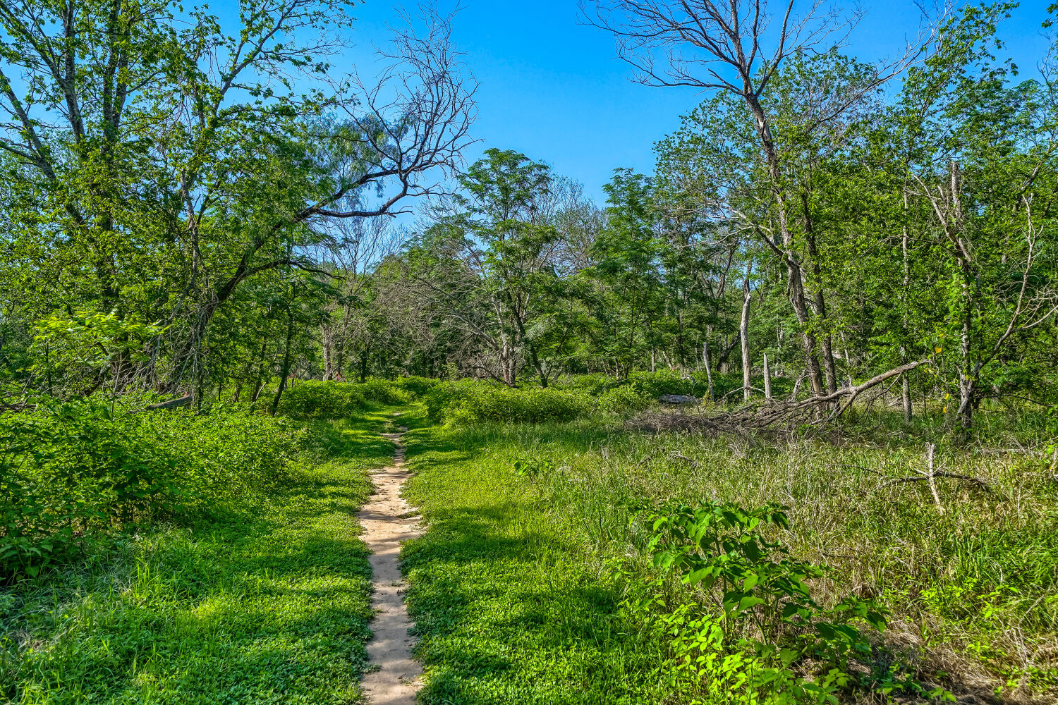 main property photo 24