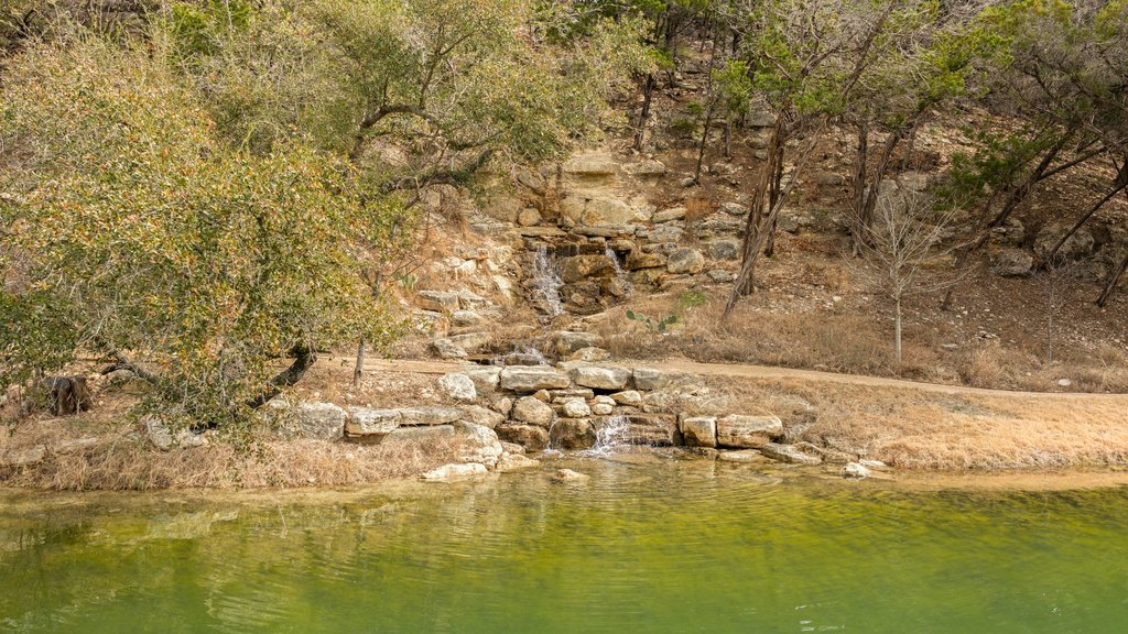 main property photo 23