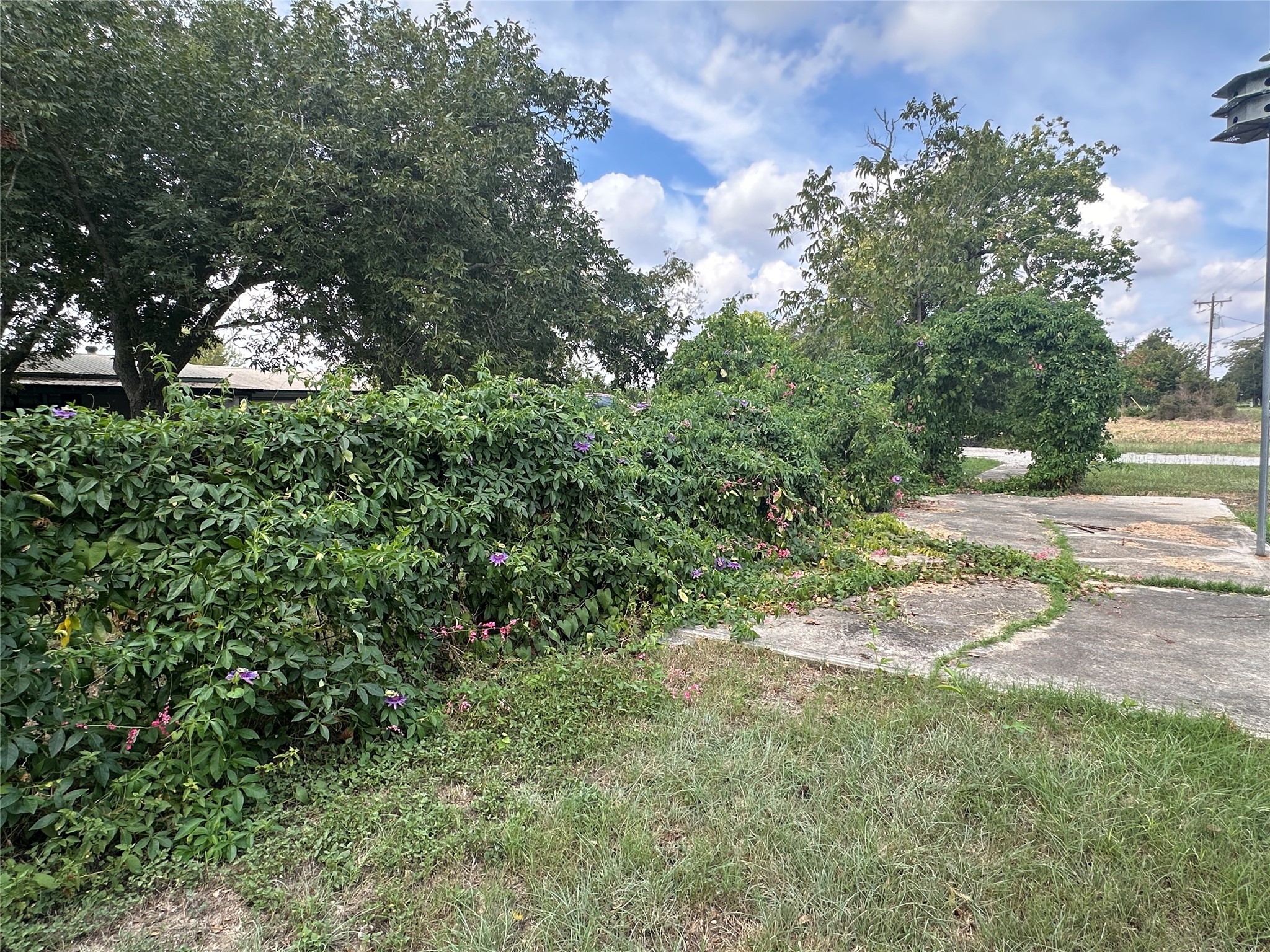 main property photo 7
