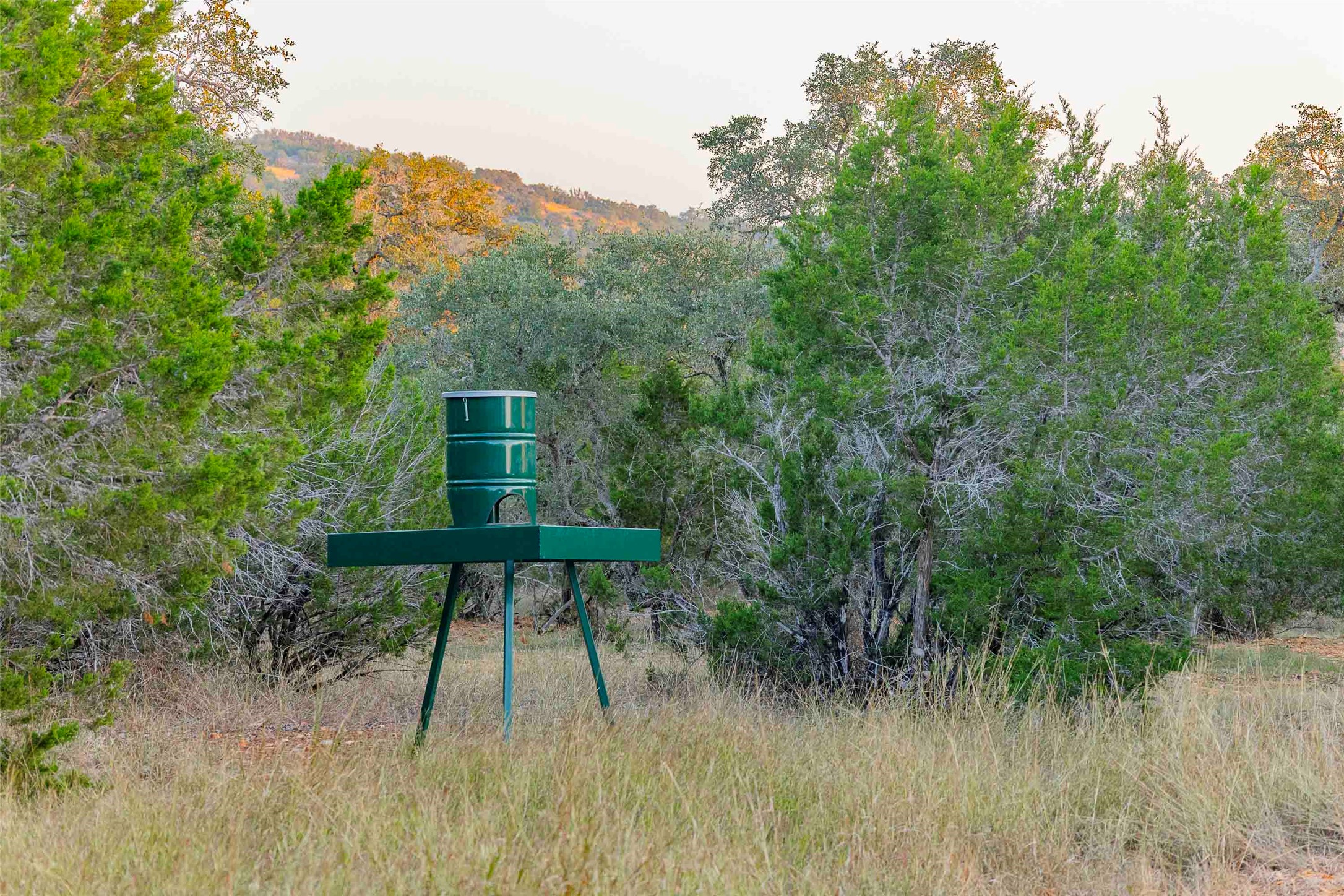 main property photo 34