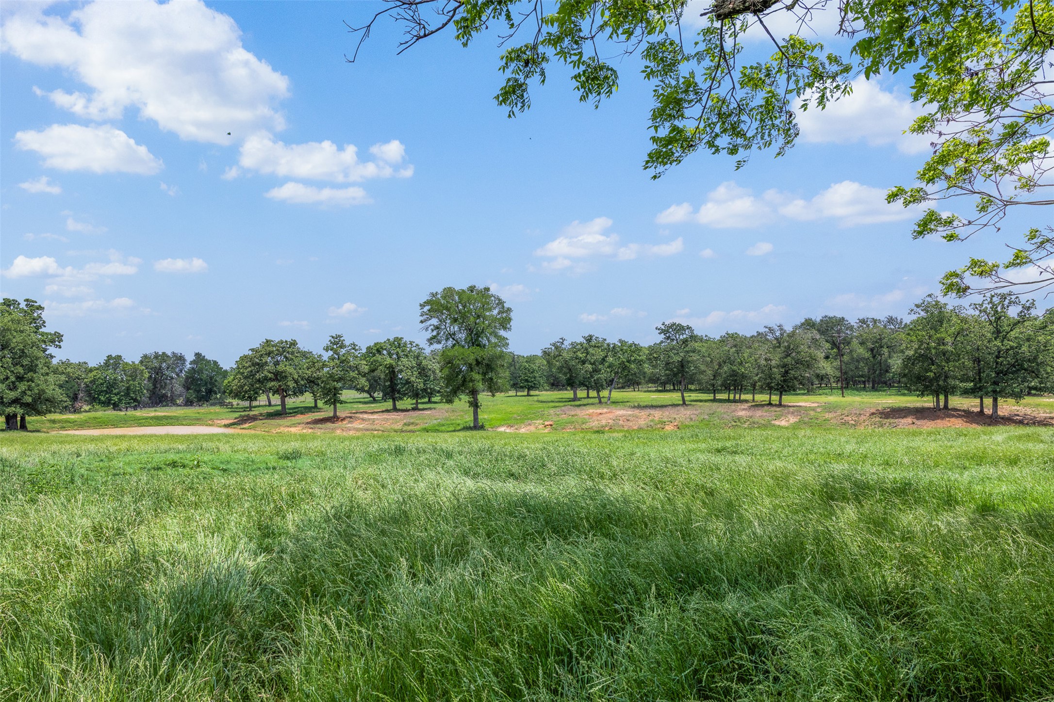 main property photo 26