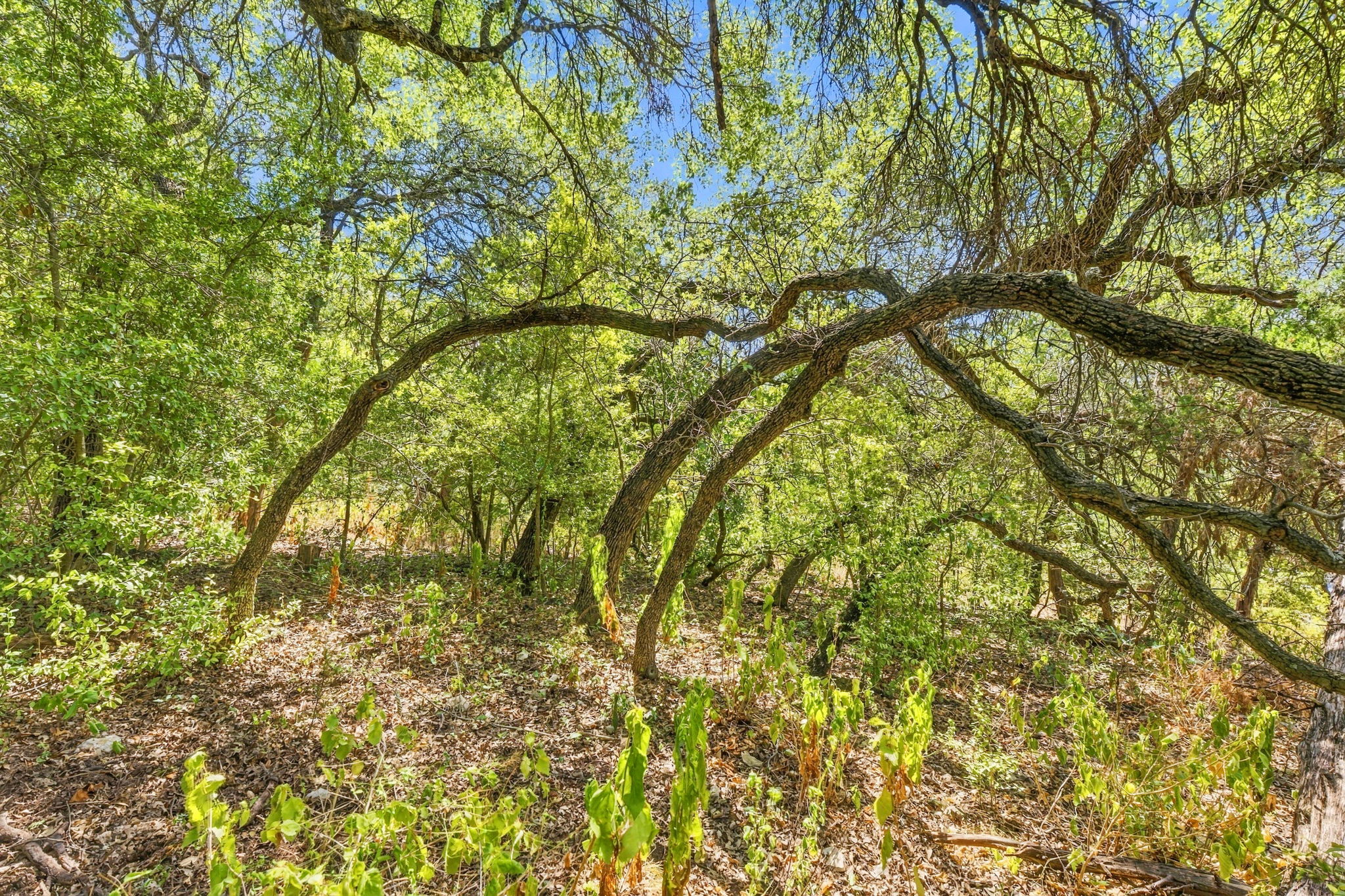 main property photo 17
