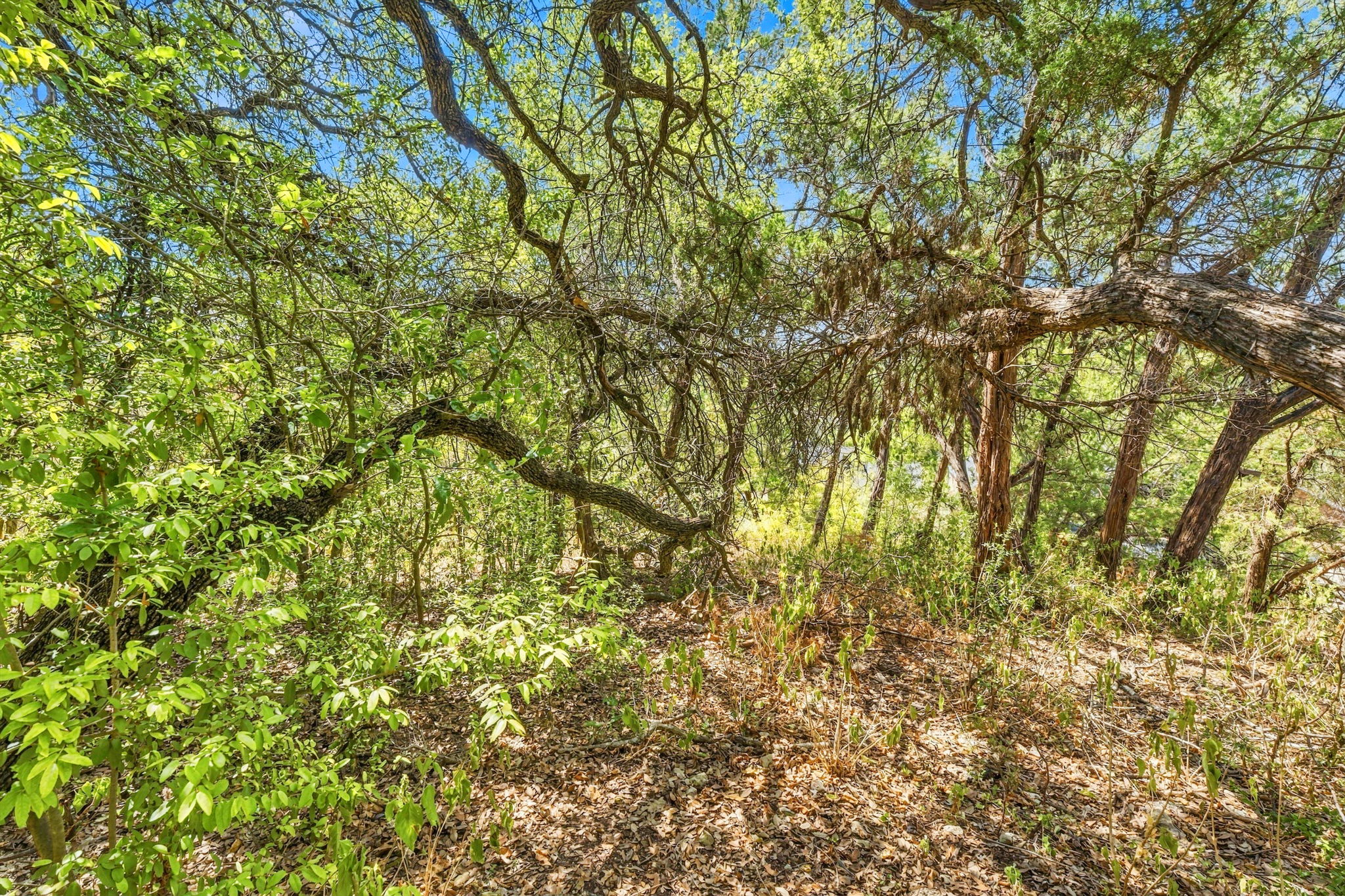 main property photo 18