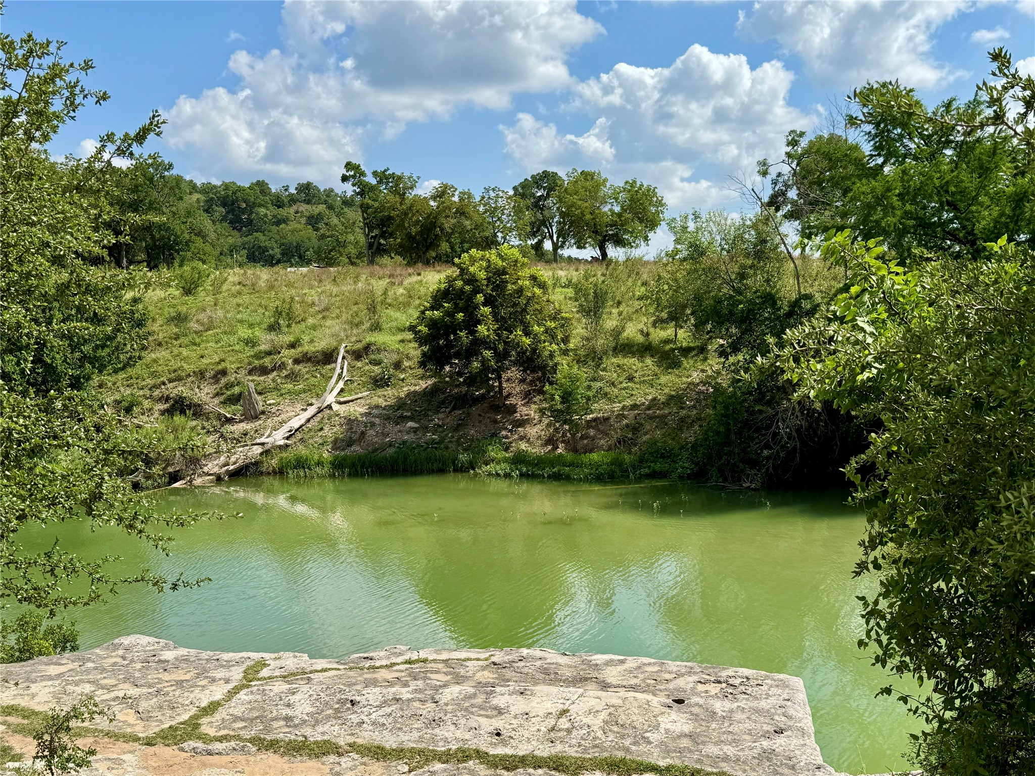 main property photo 18
