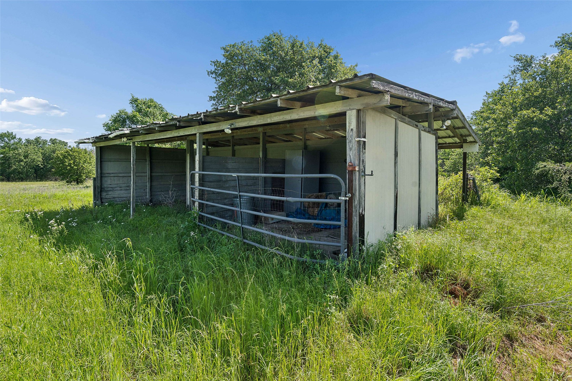 main property photo 14
