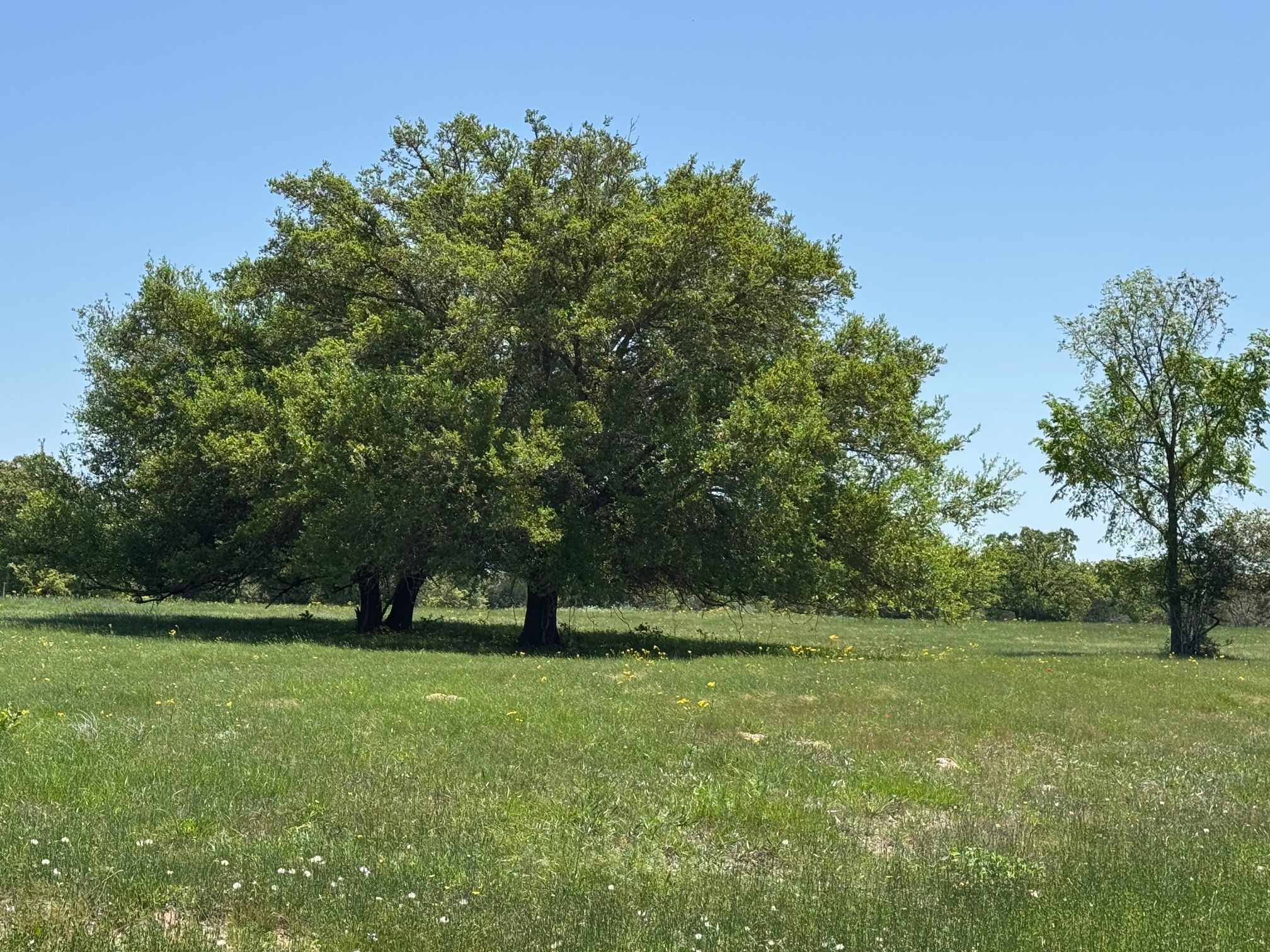 main property photo 23