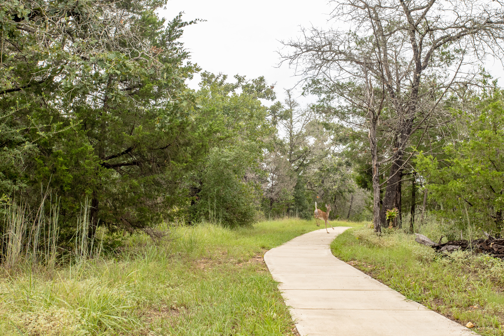 main property photo 29