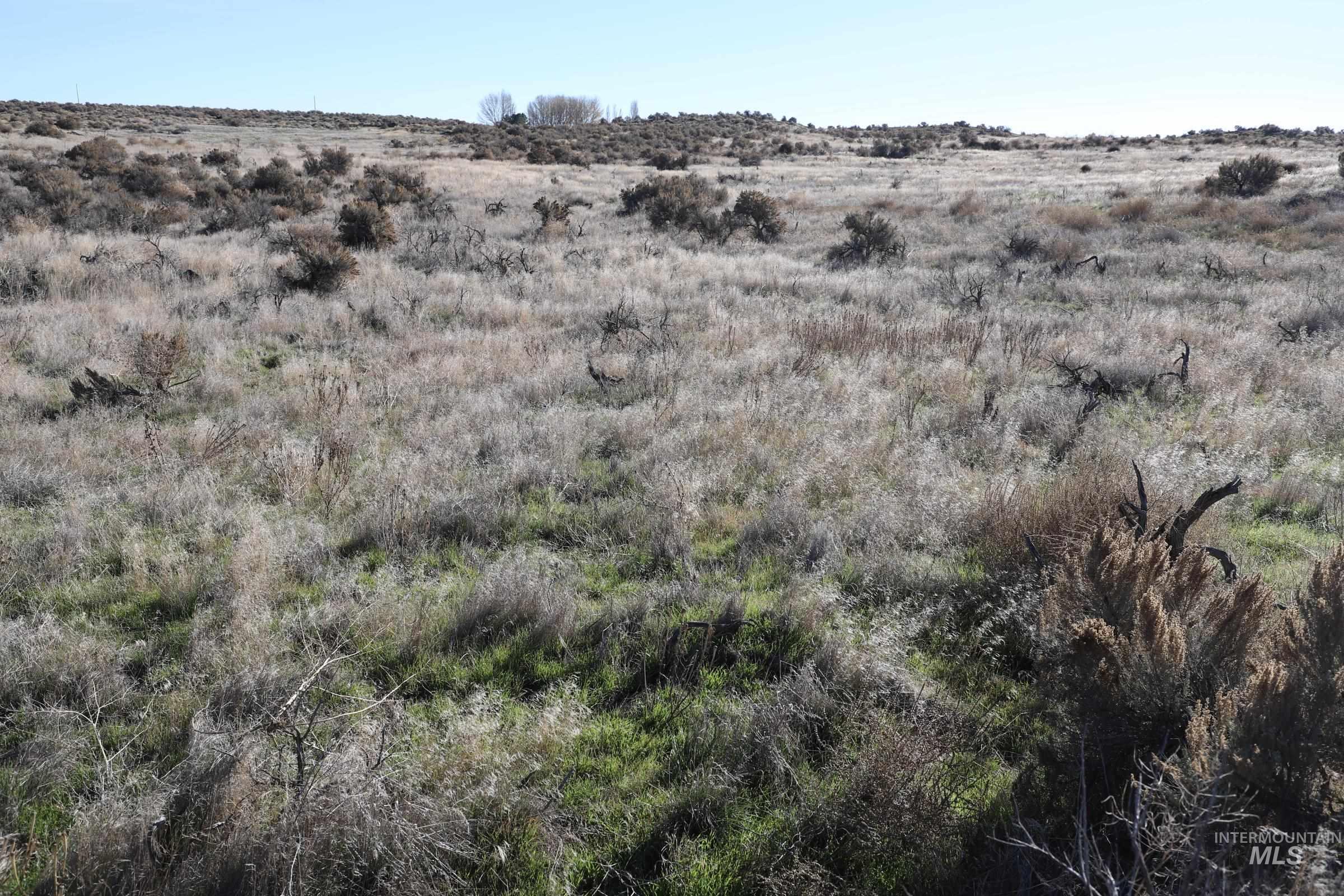 property viewer photo 5