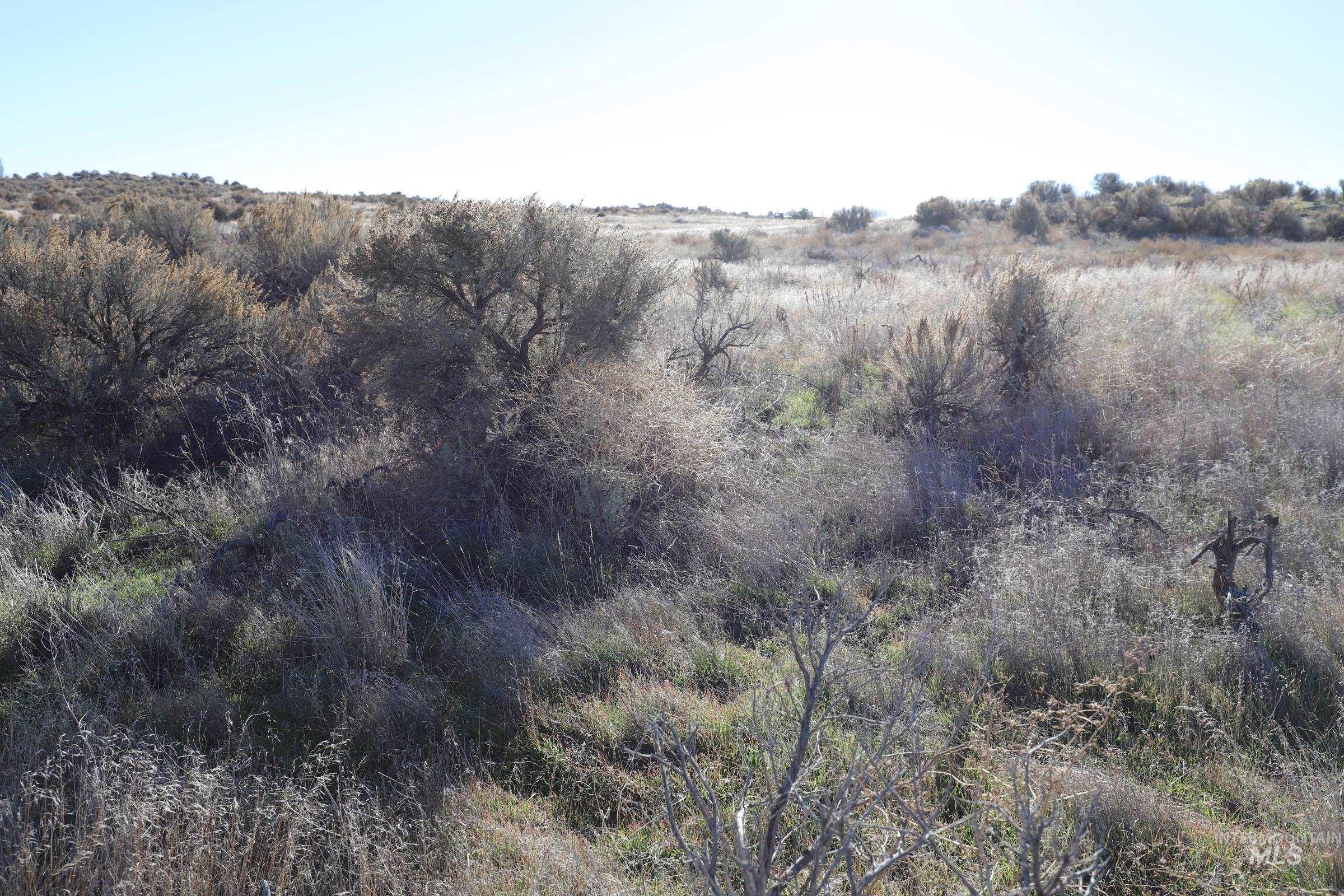 property viewer photo 7