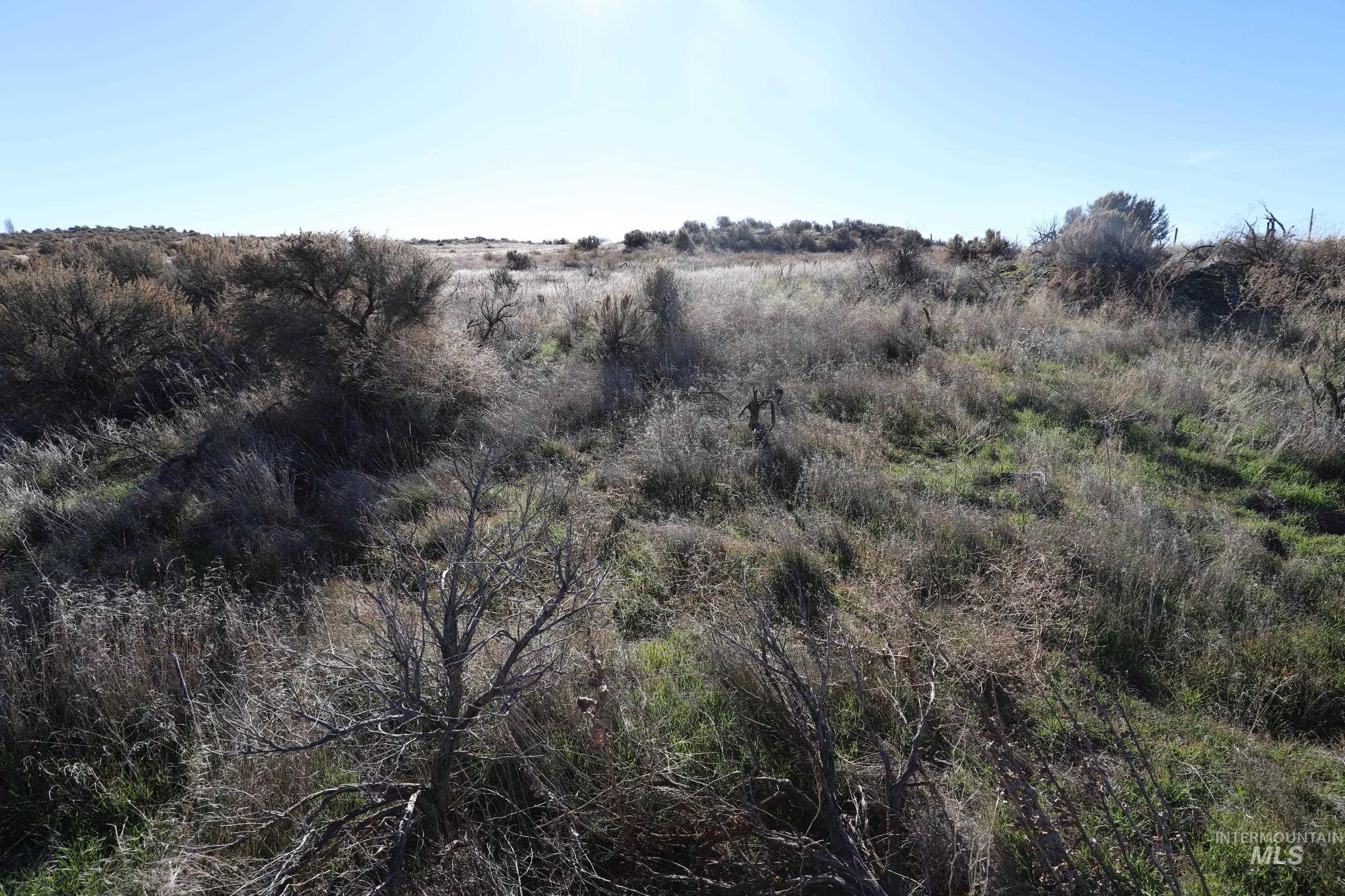 property viewer photo 9
