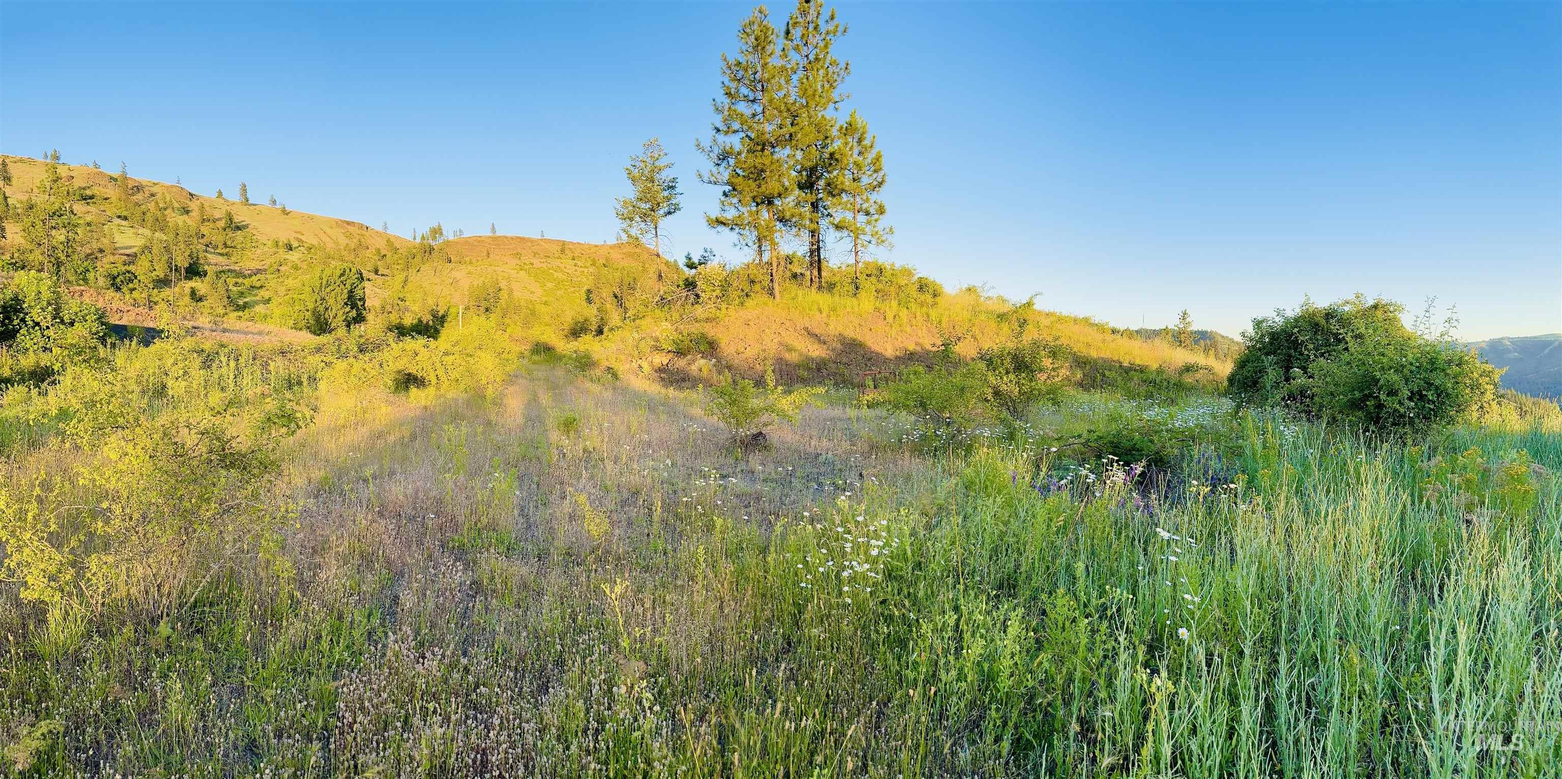 main property photo 20