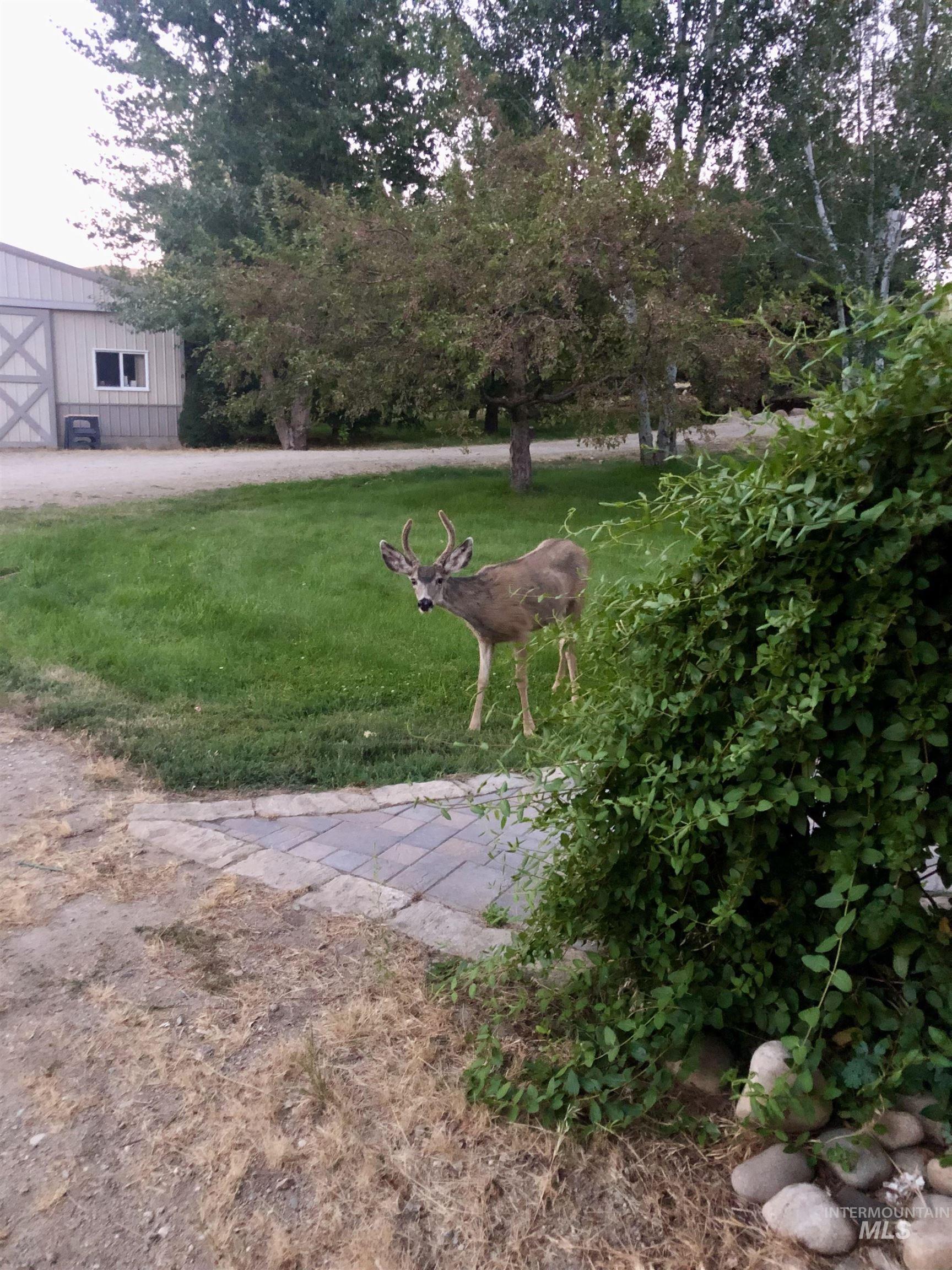 main property photo 47