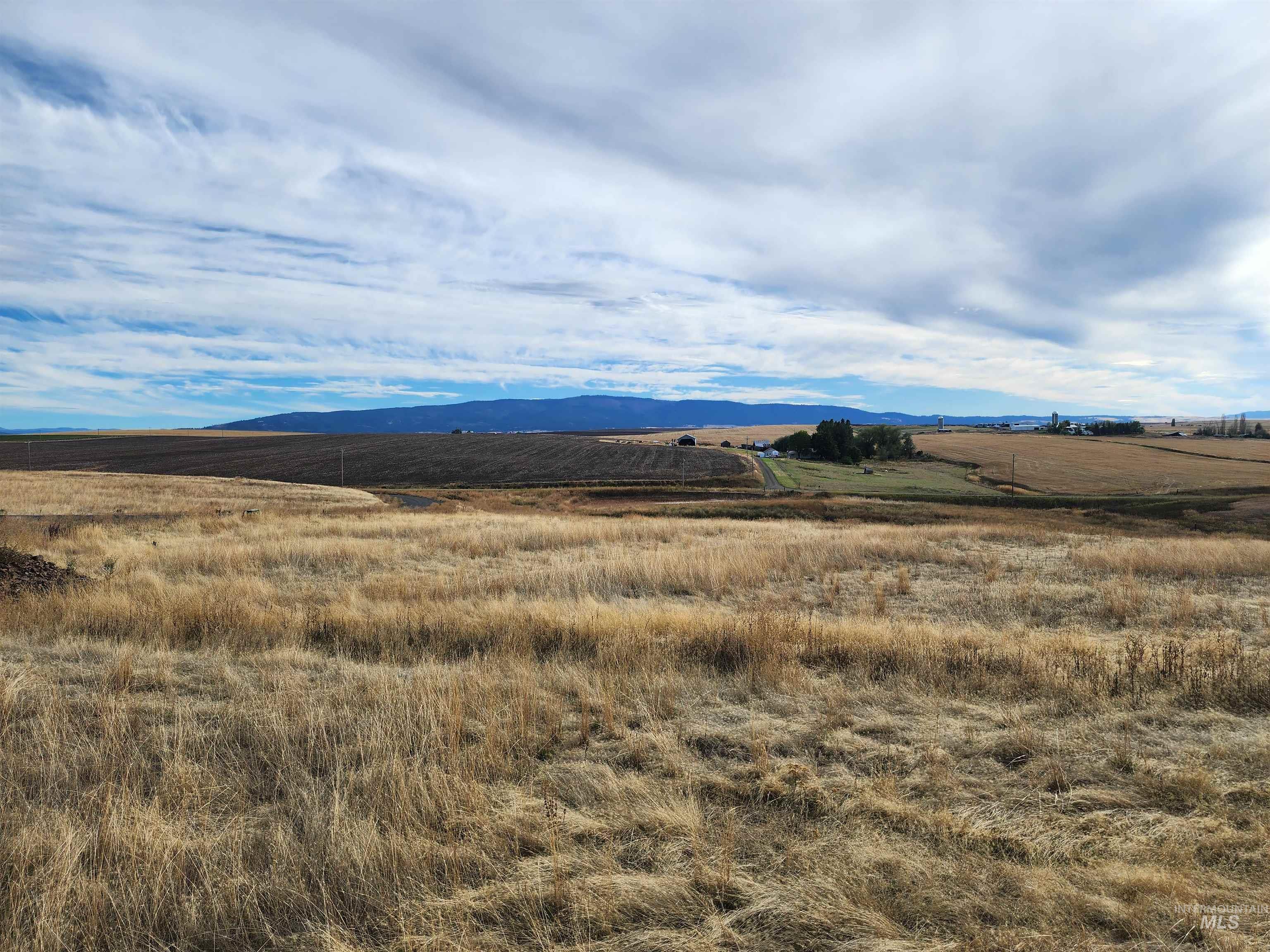 property viewer photo 3