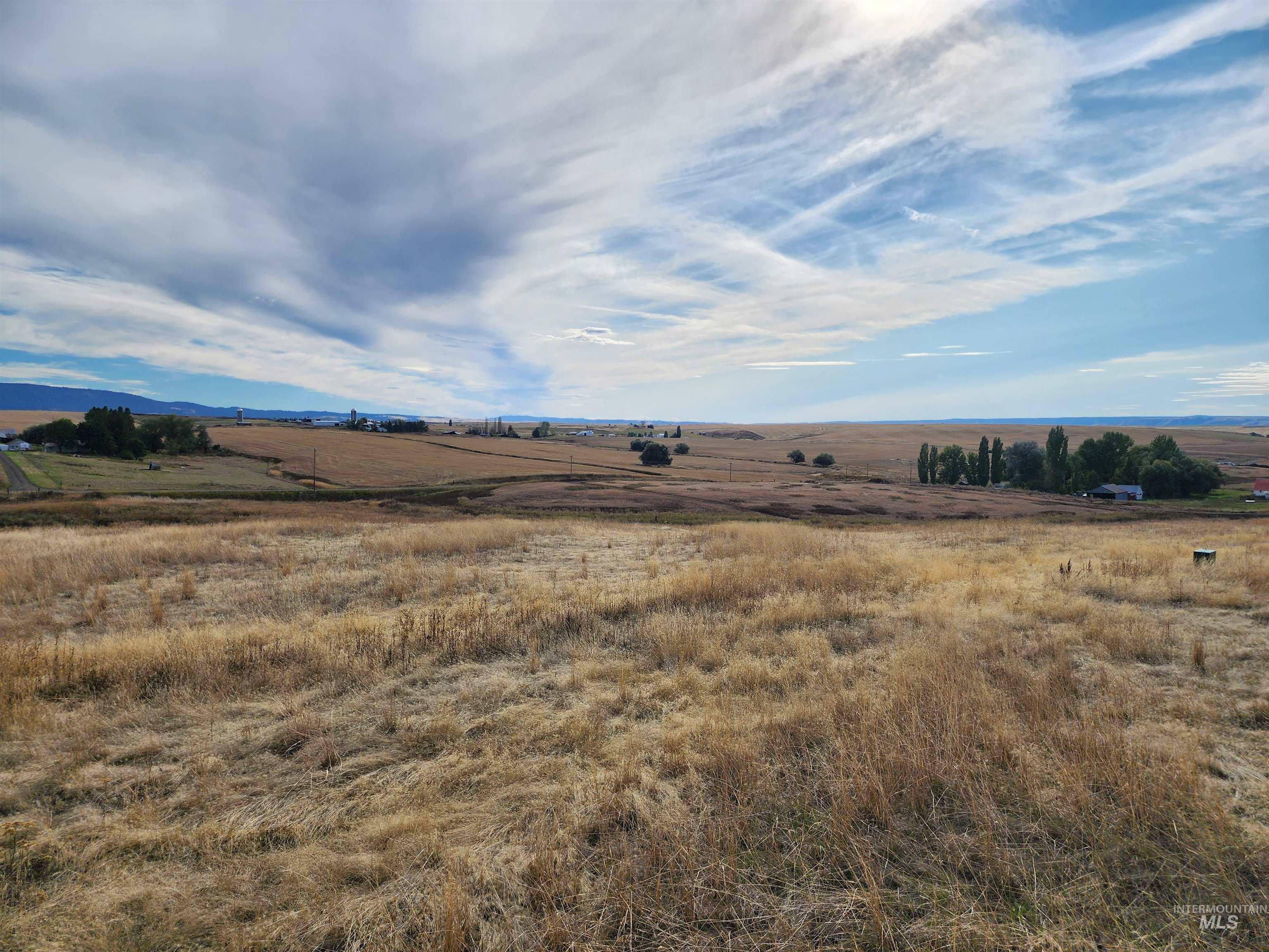 property viewer photo 4