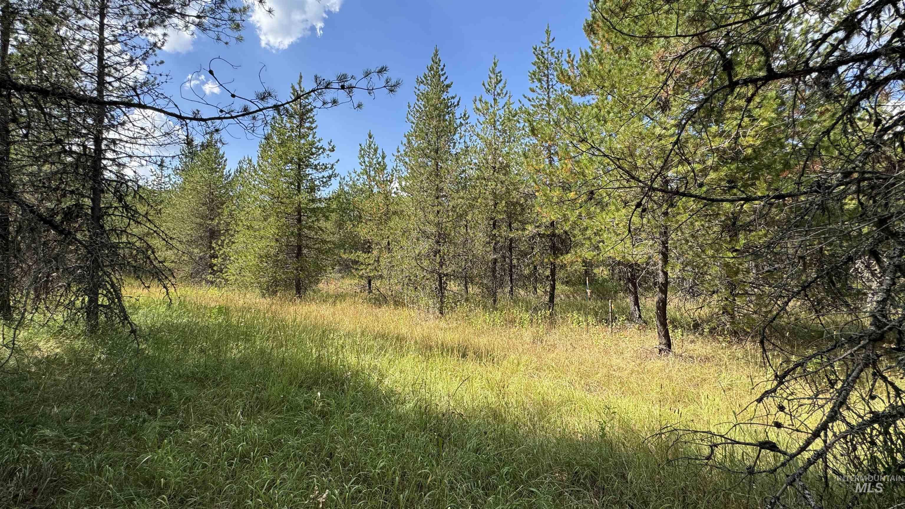 main property photo 0