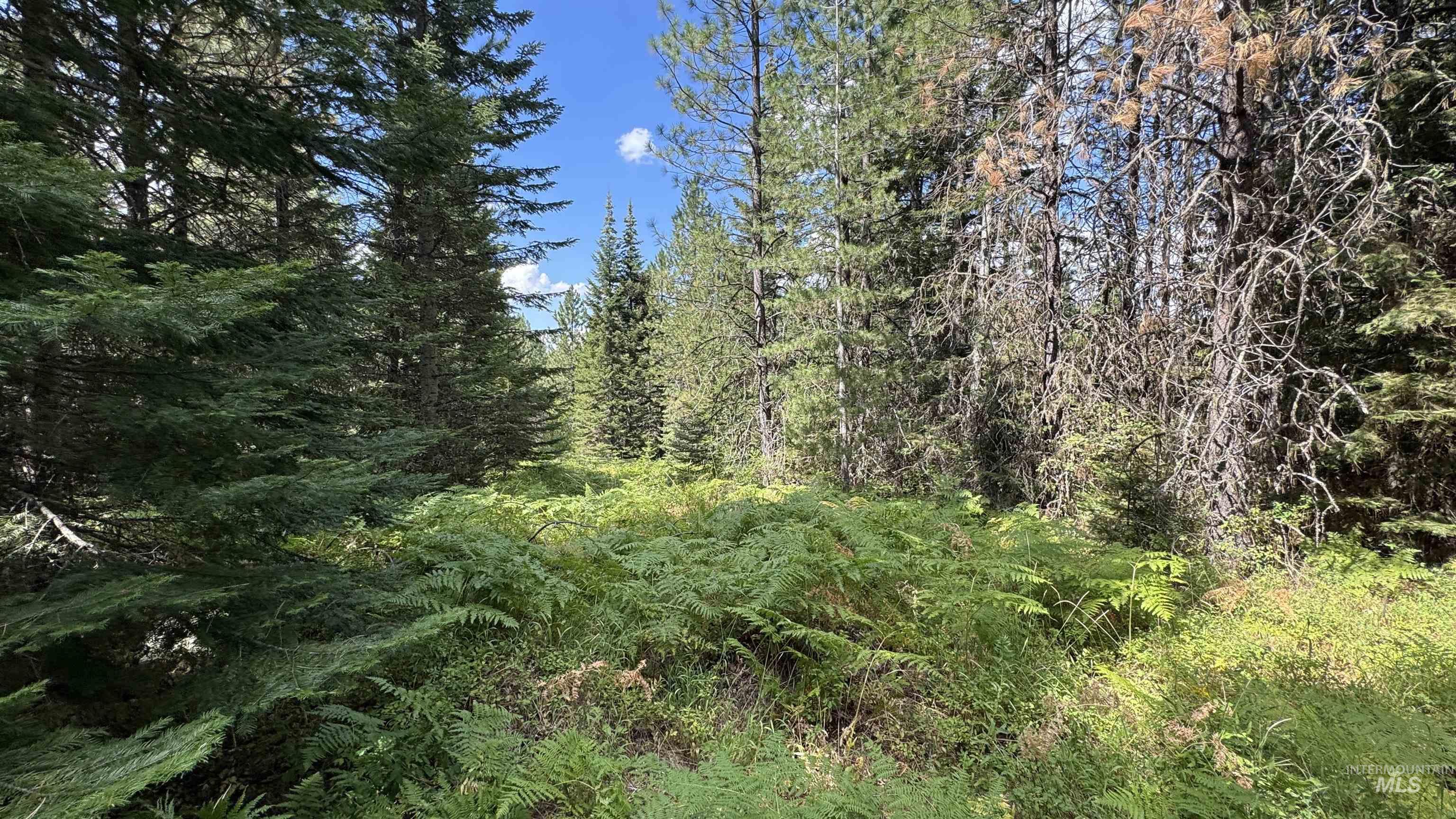 property viewer photo 1