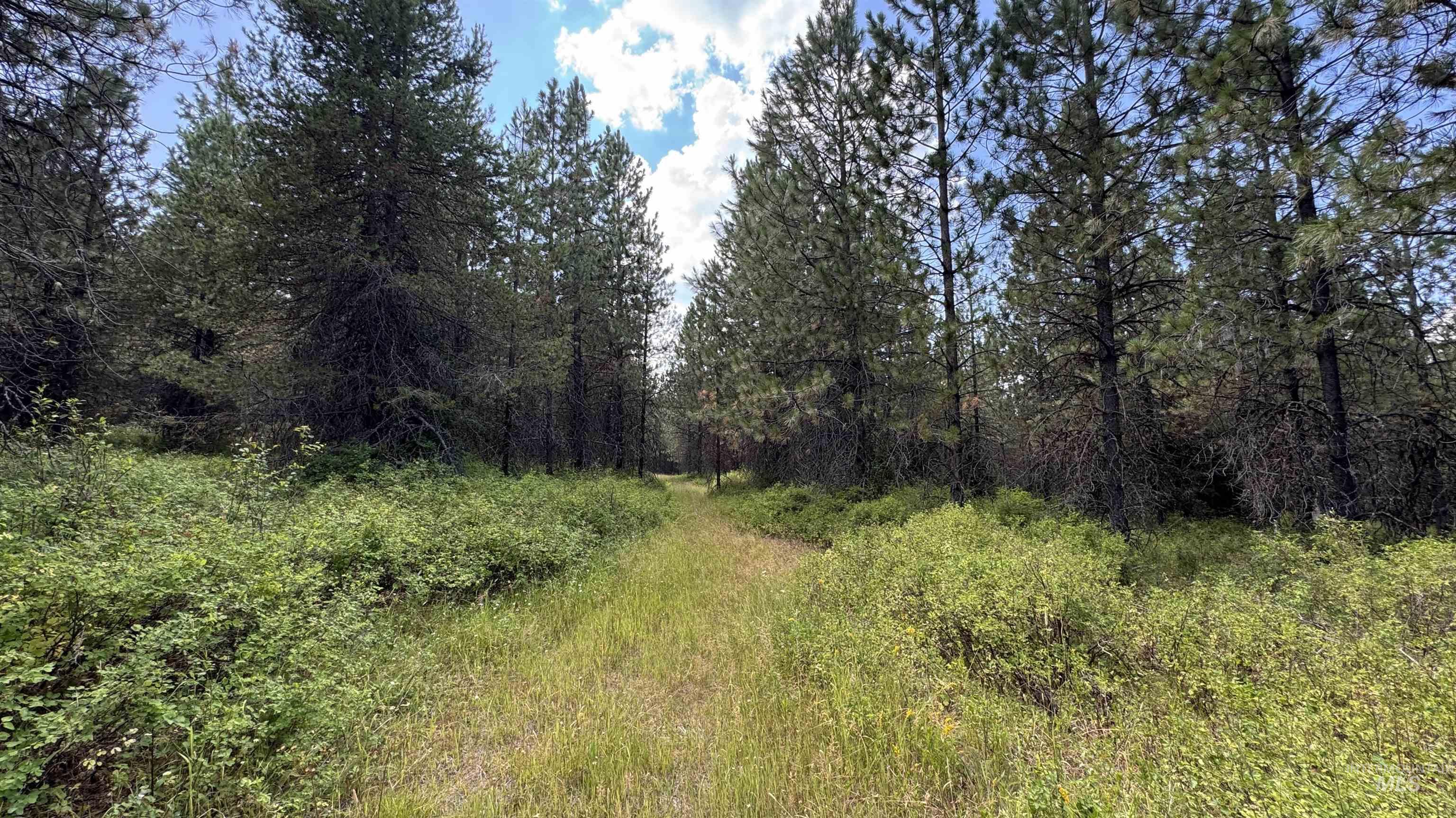property viewer photo 10