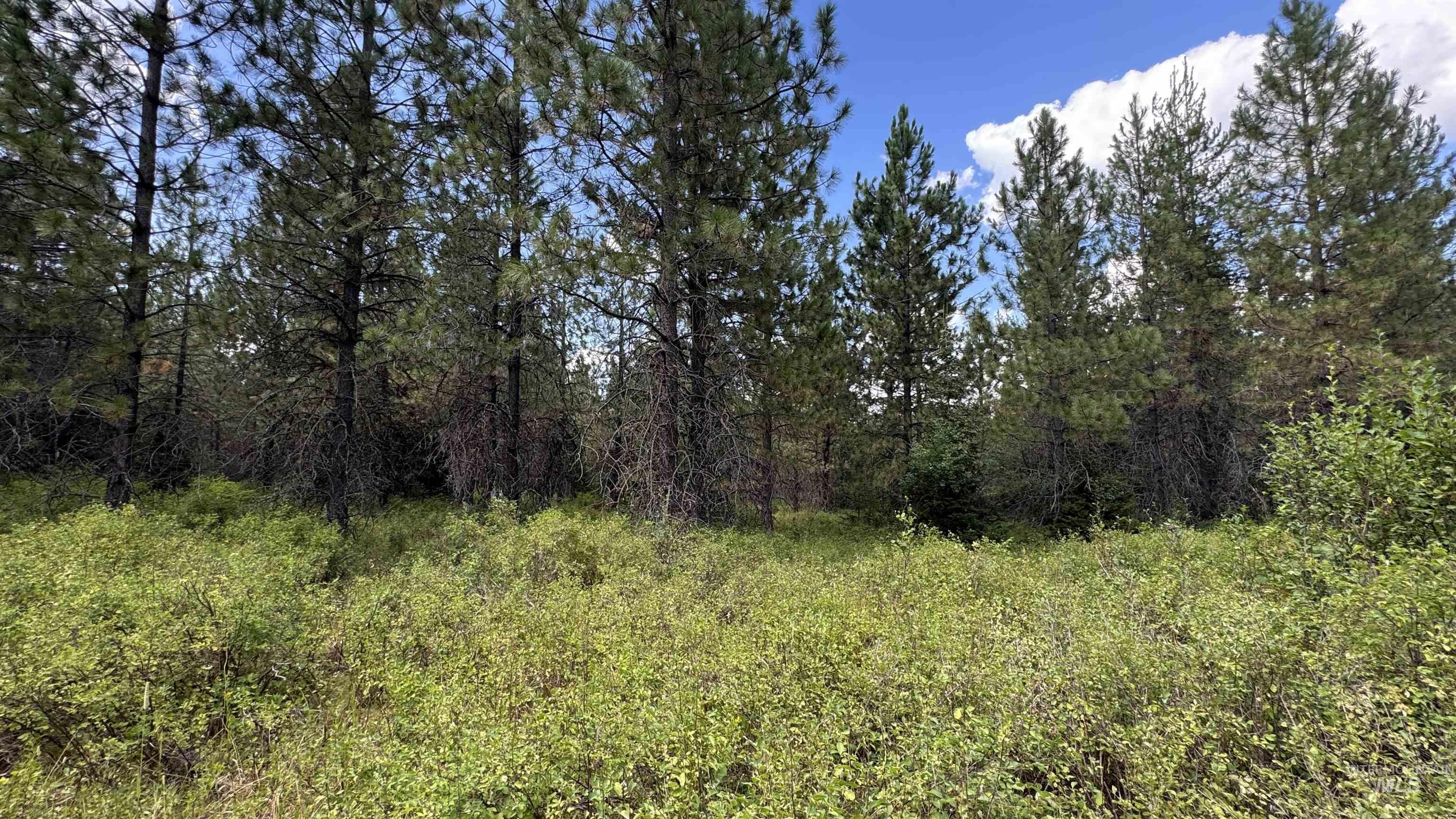 property viewer photo 11