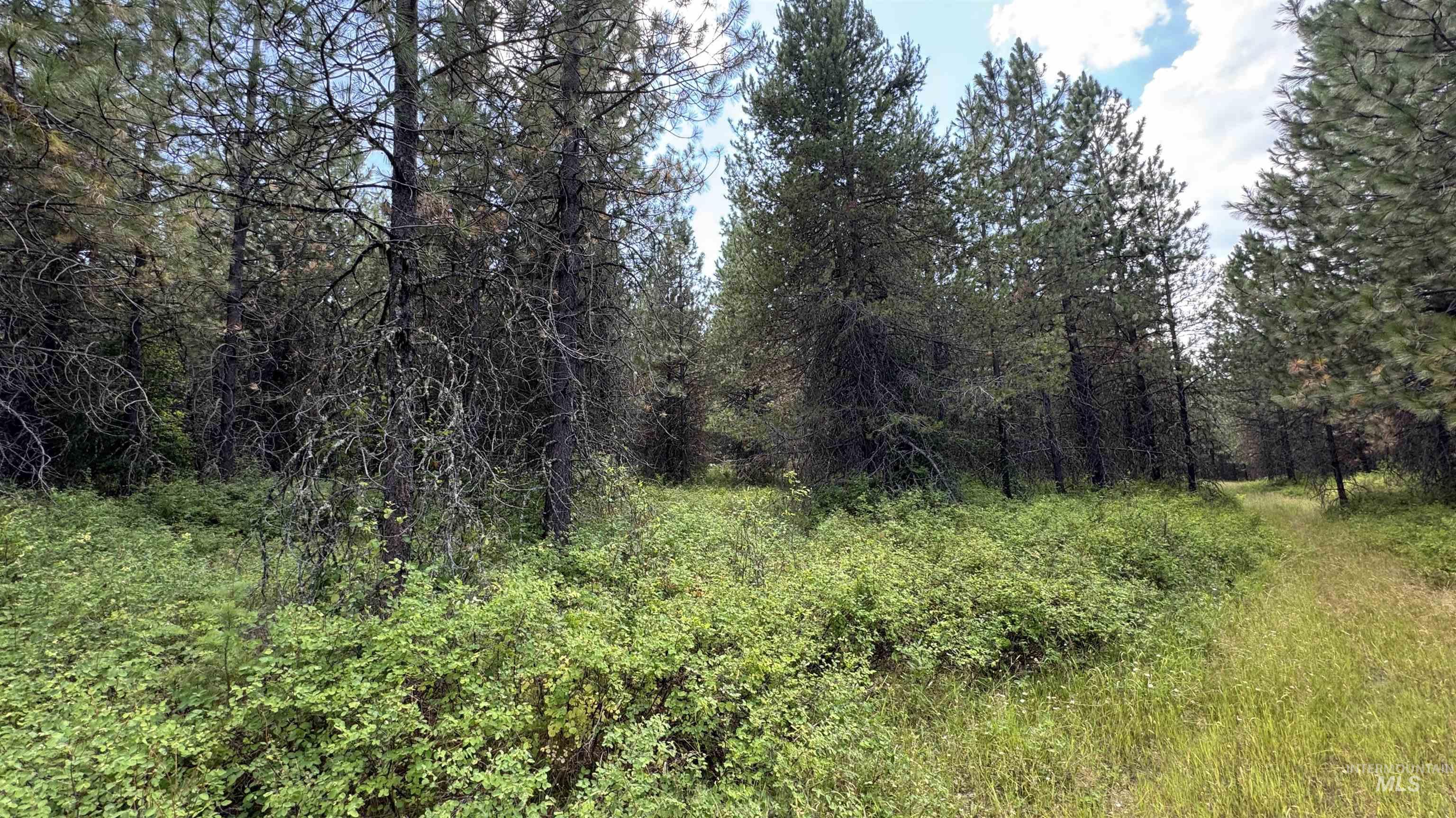 property viewer photo 12