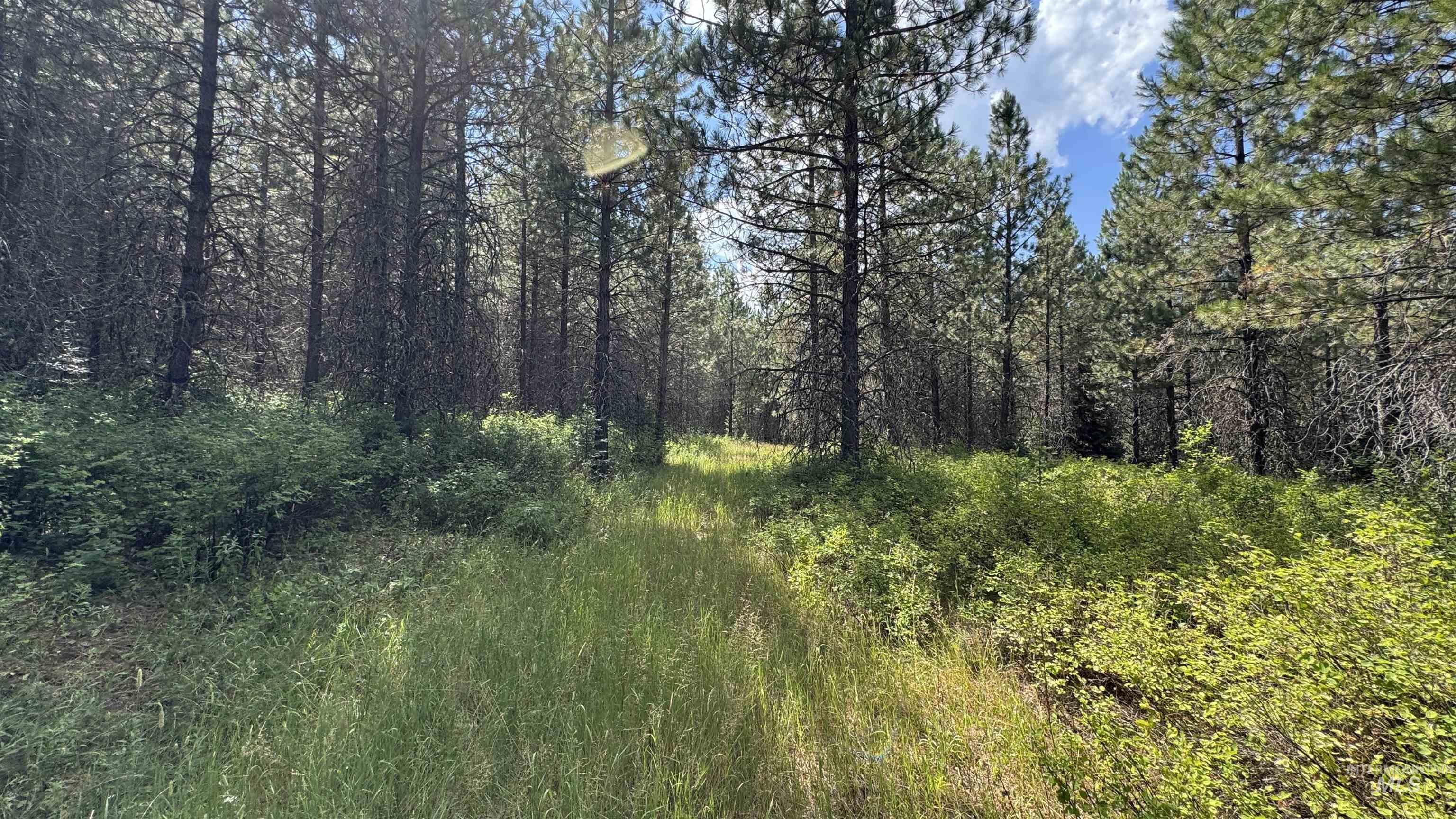 property viewer photo 13