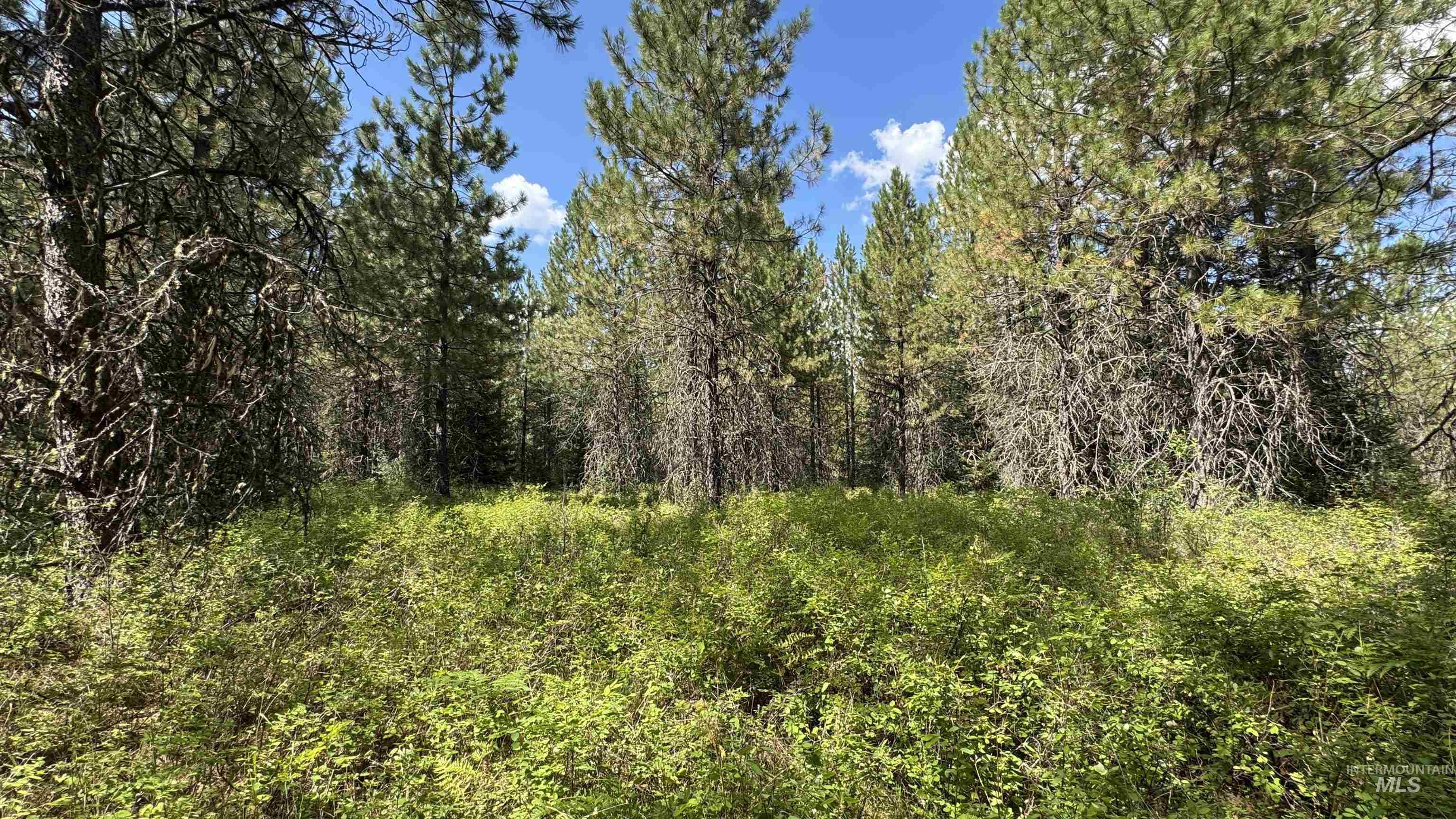 property viewer photo 14