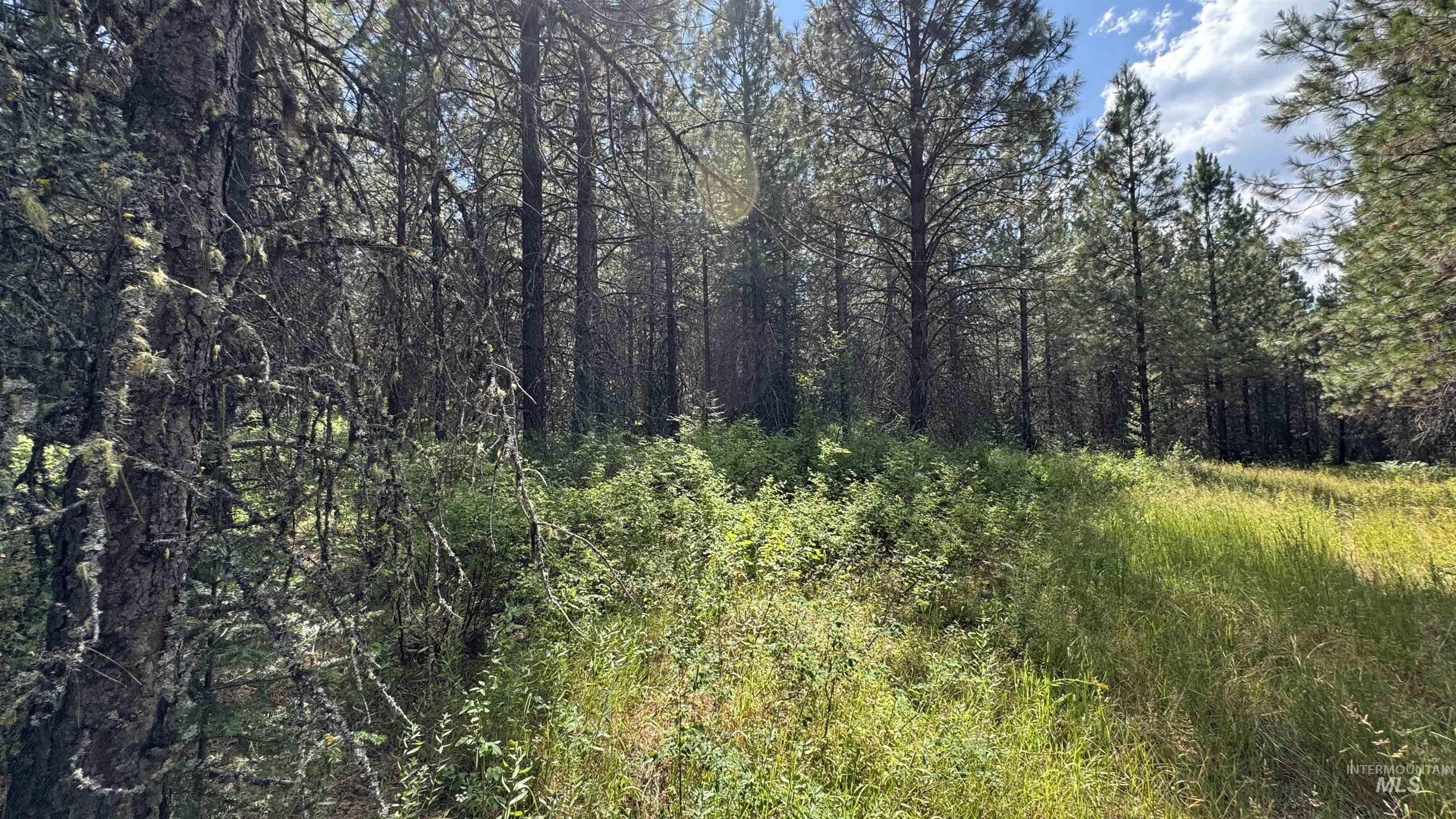 property viewer photo 15
