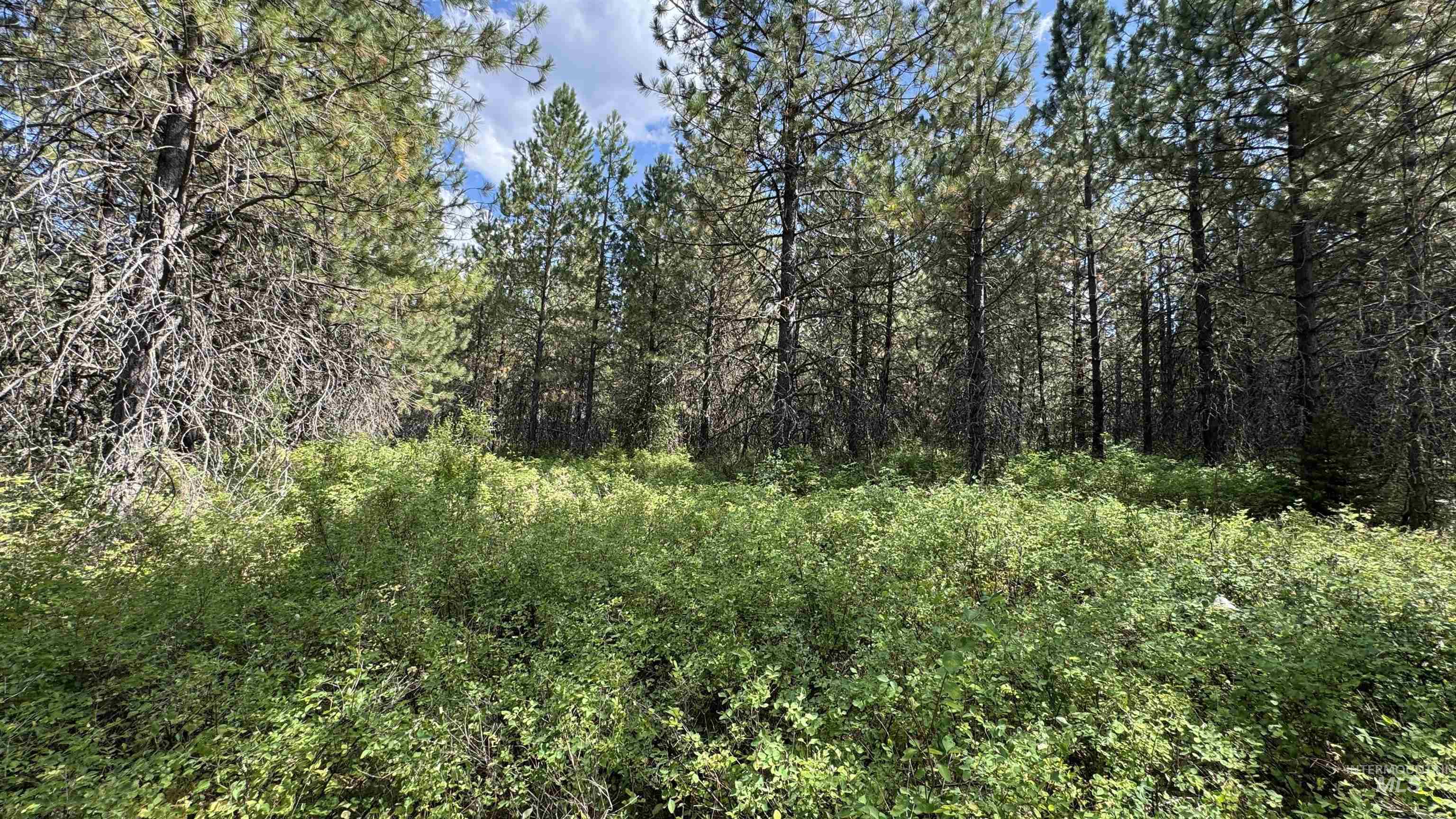 property viewer photo 16