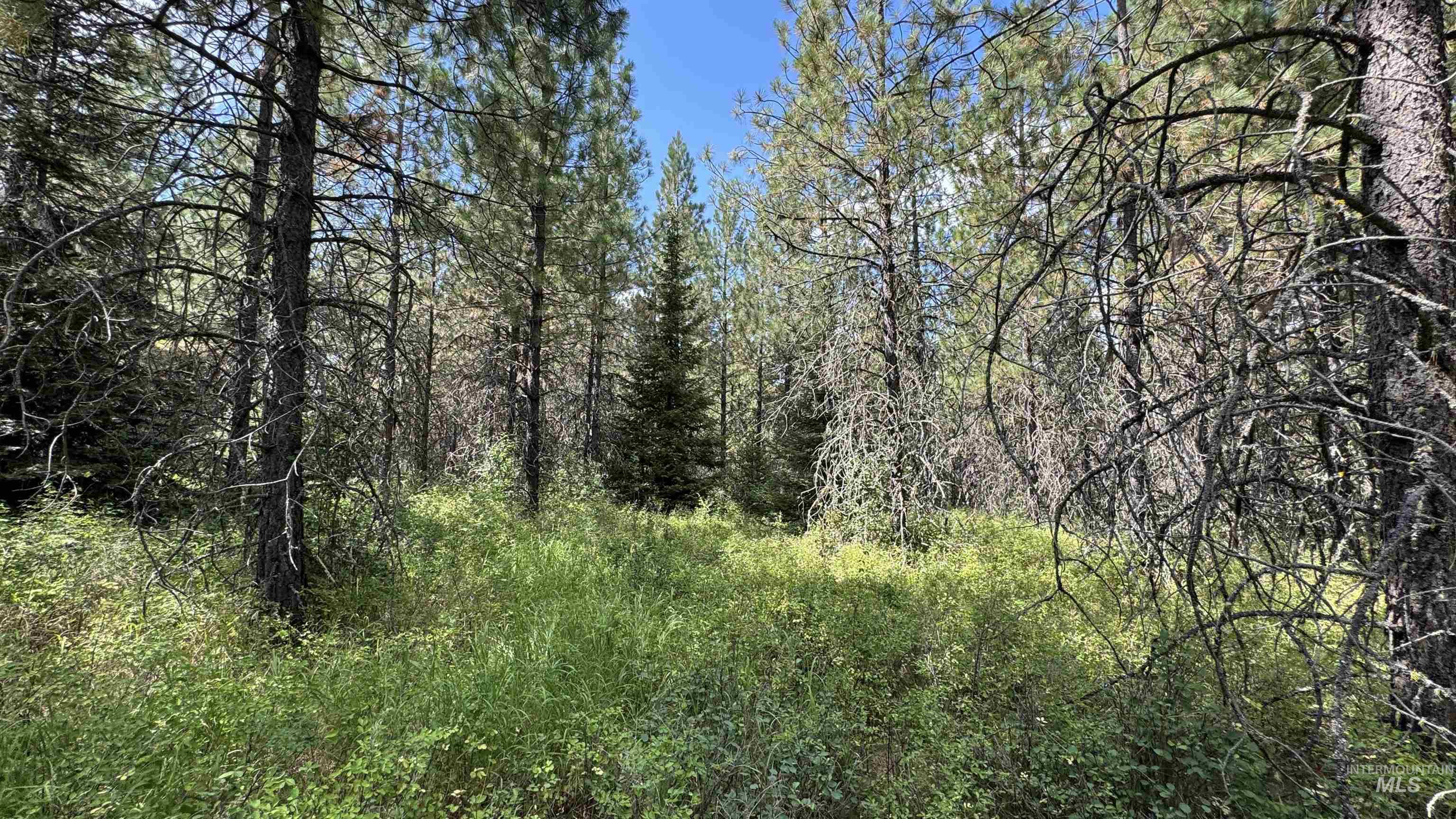 property viewer photo 17