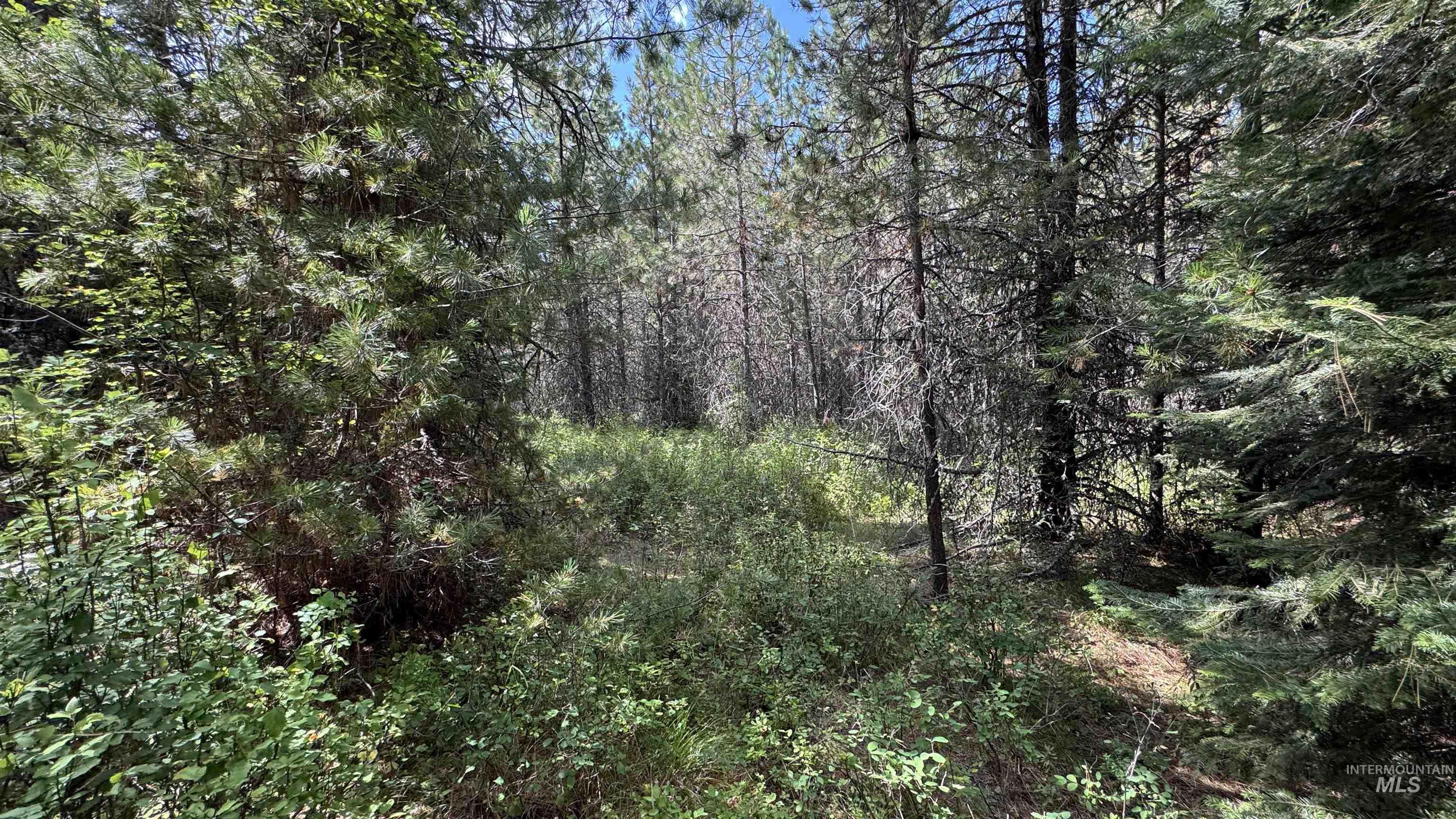 property viewer photo 18