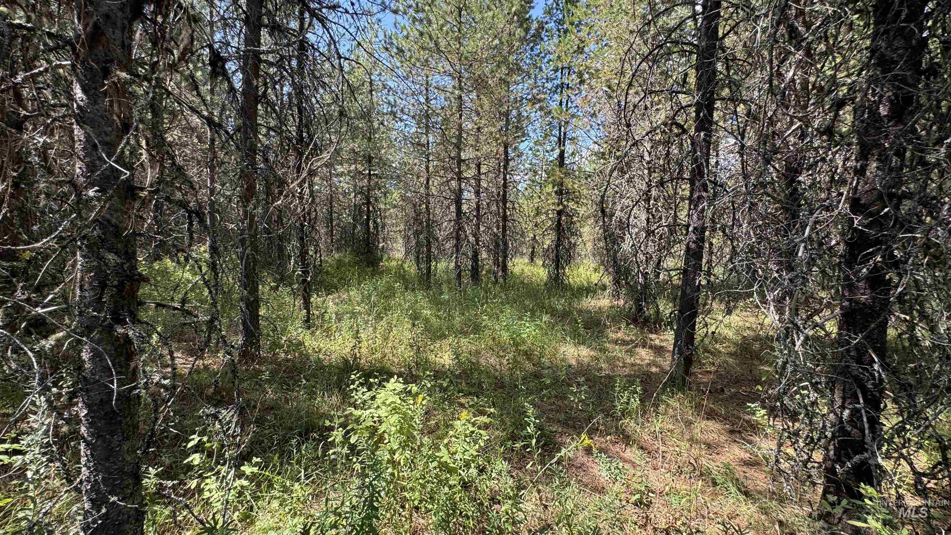 property viewer photo 19