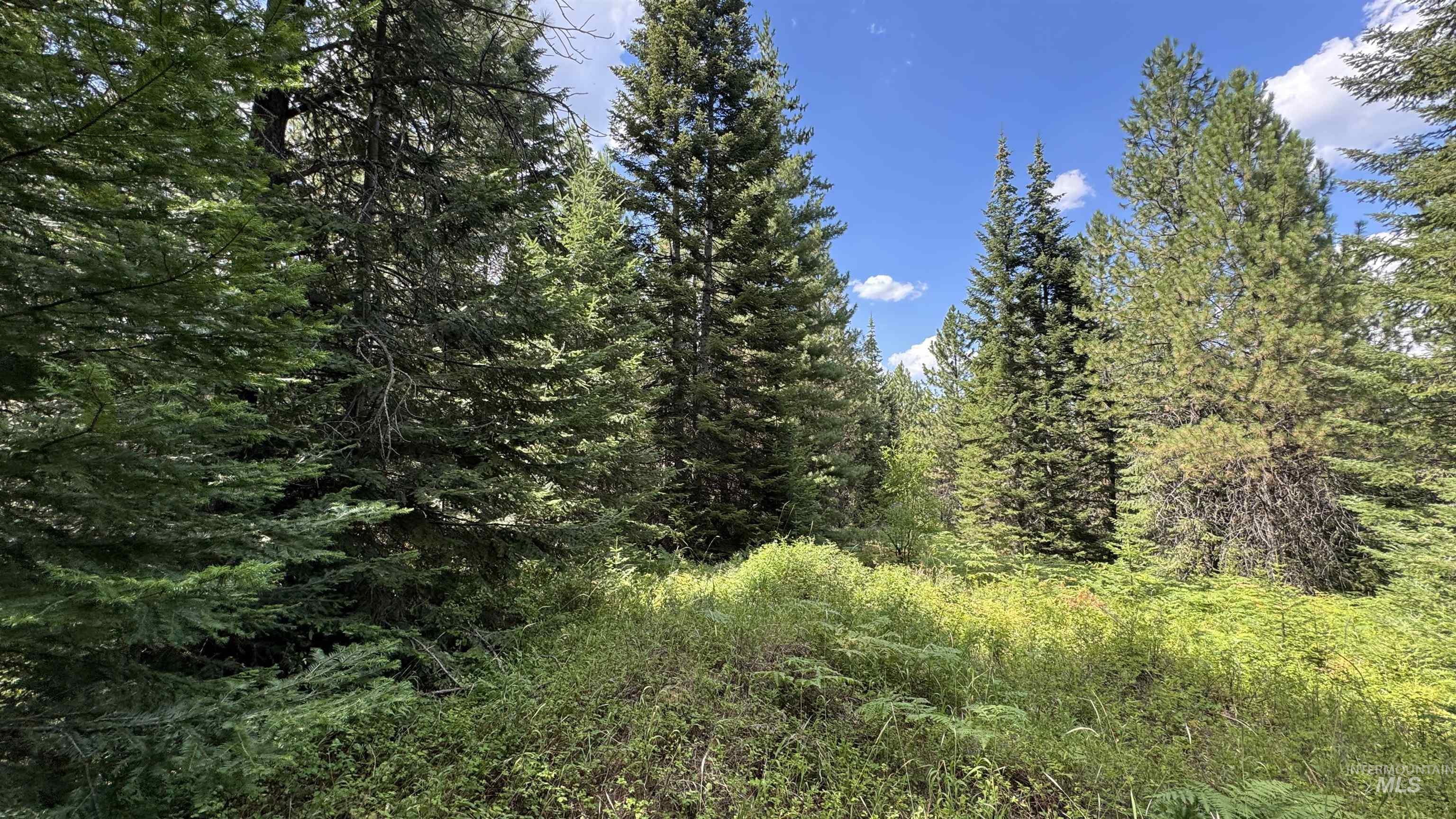 property viewer photo 2