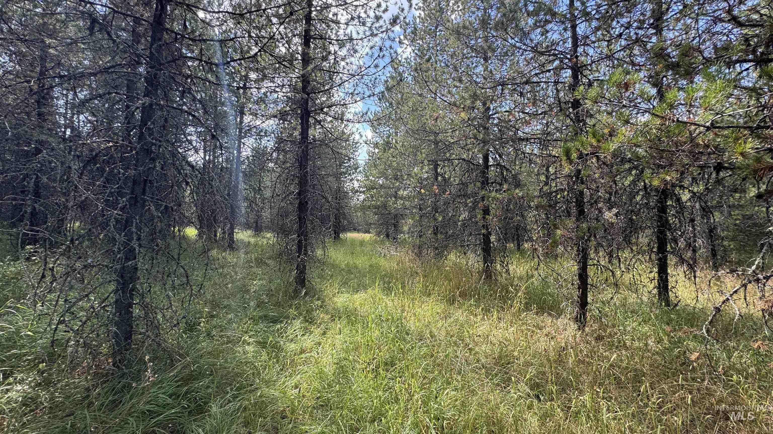property viewer photo 21