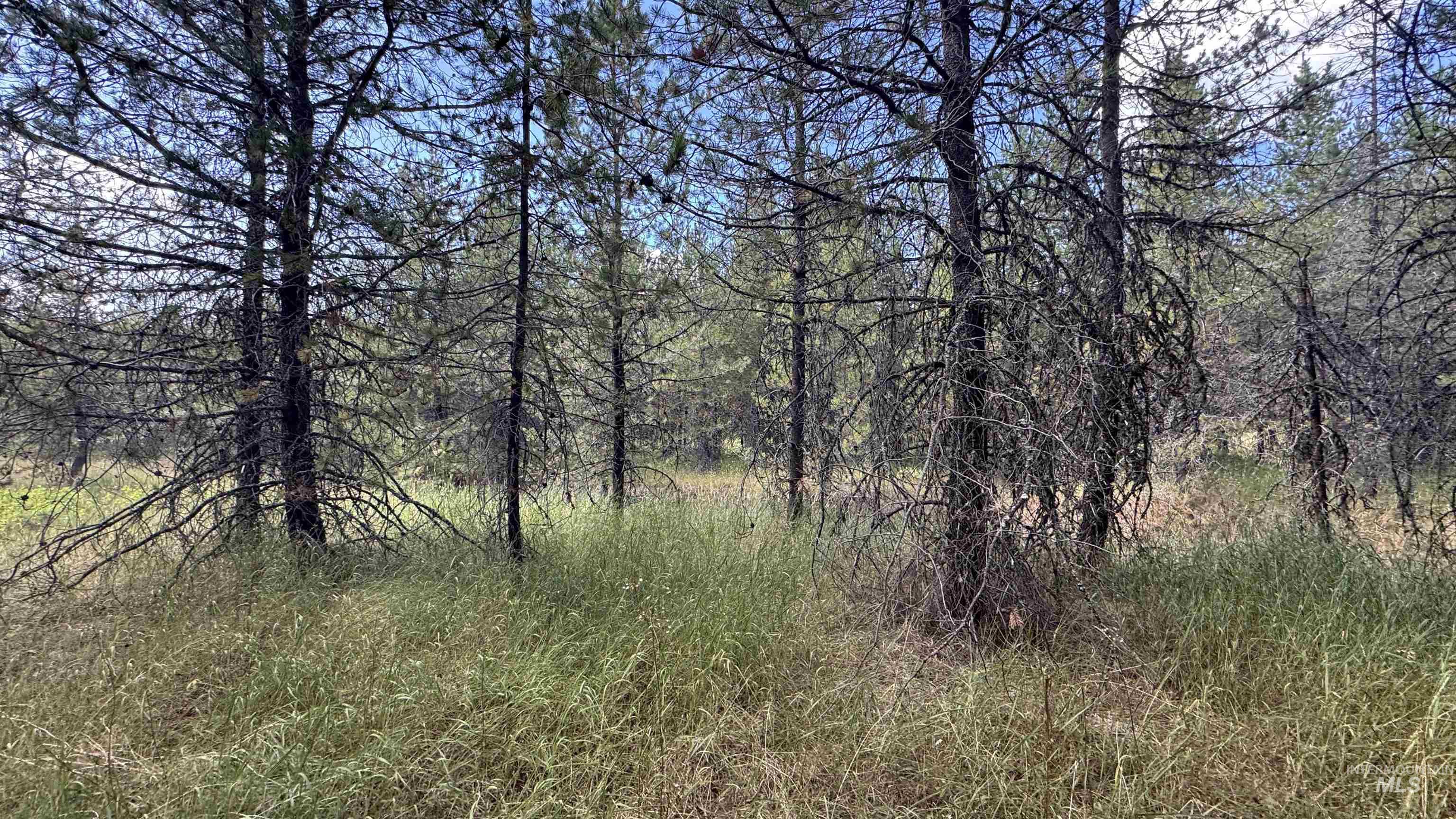 property viewer photo 22