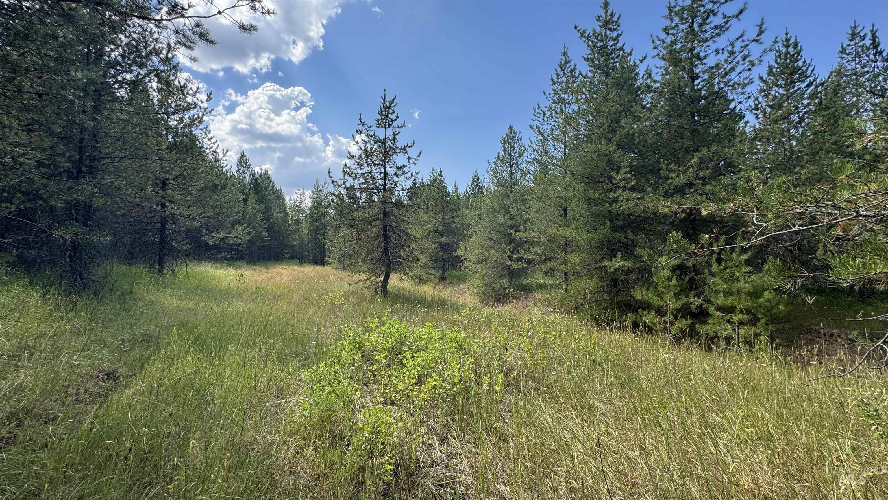 property viewer photo 23