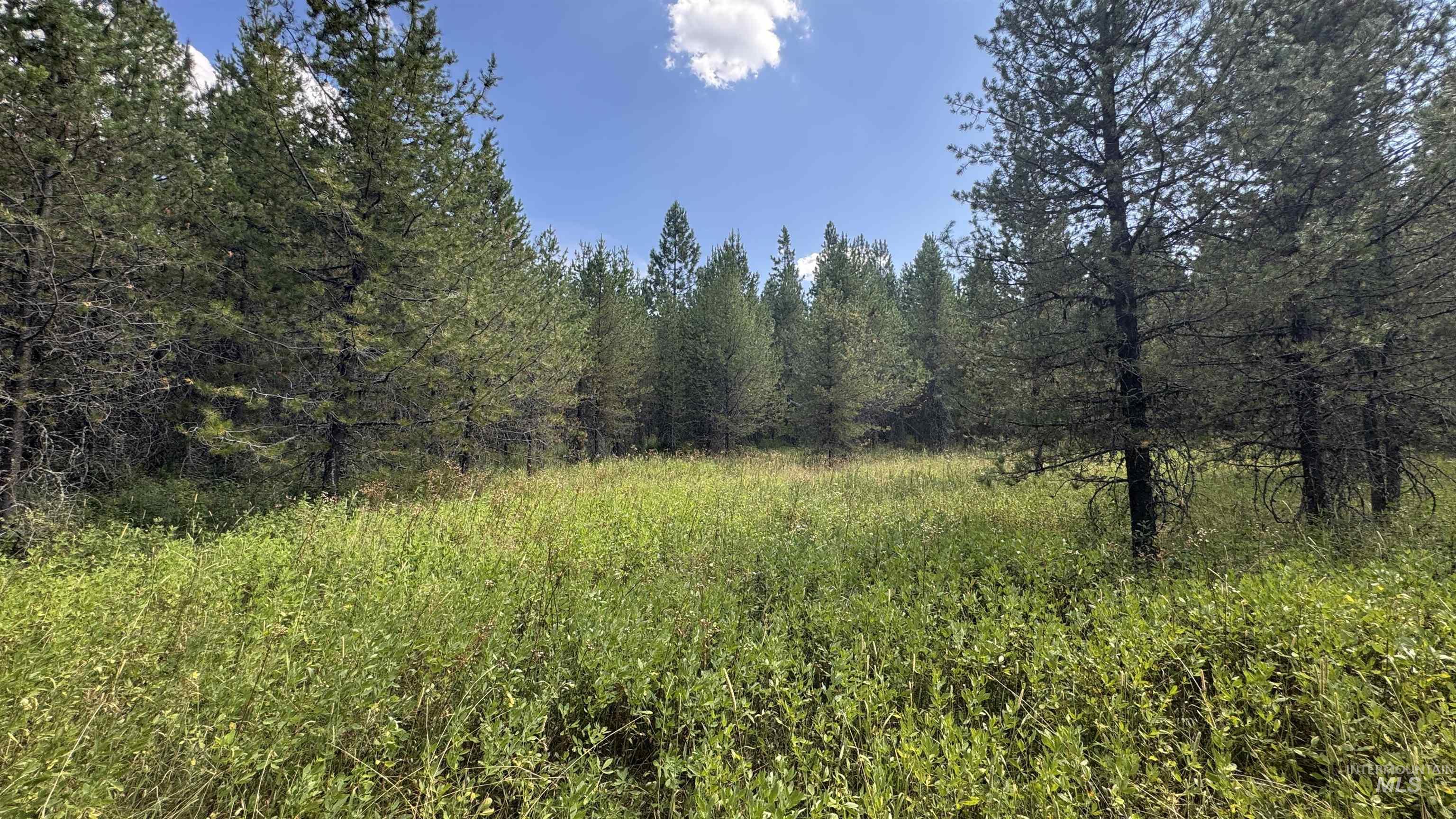 property viewer photo 24