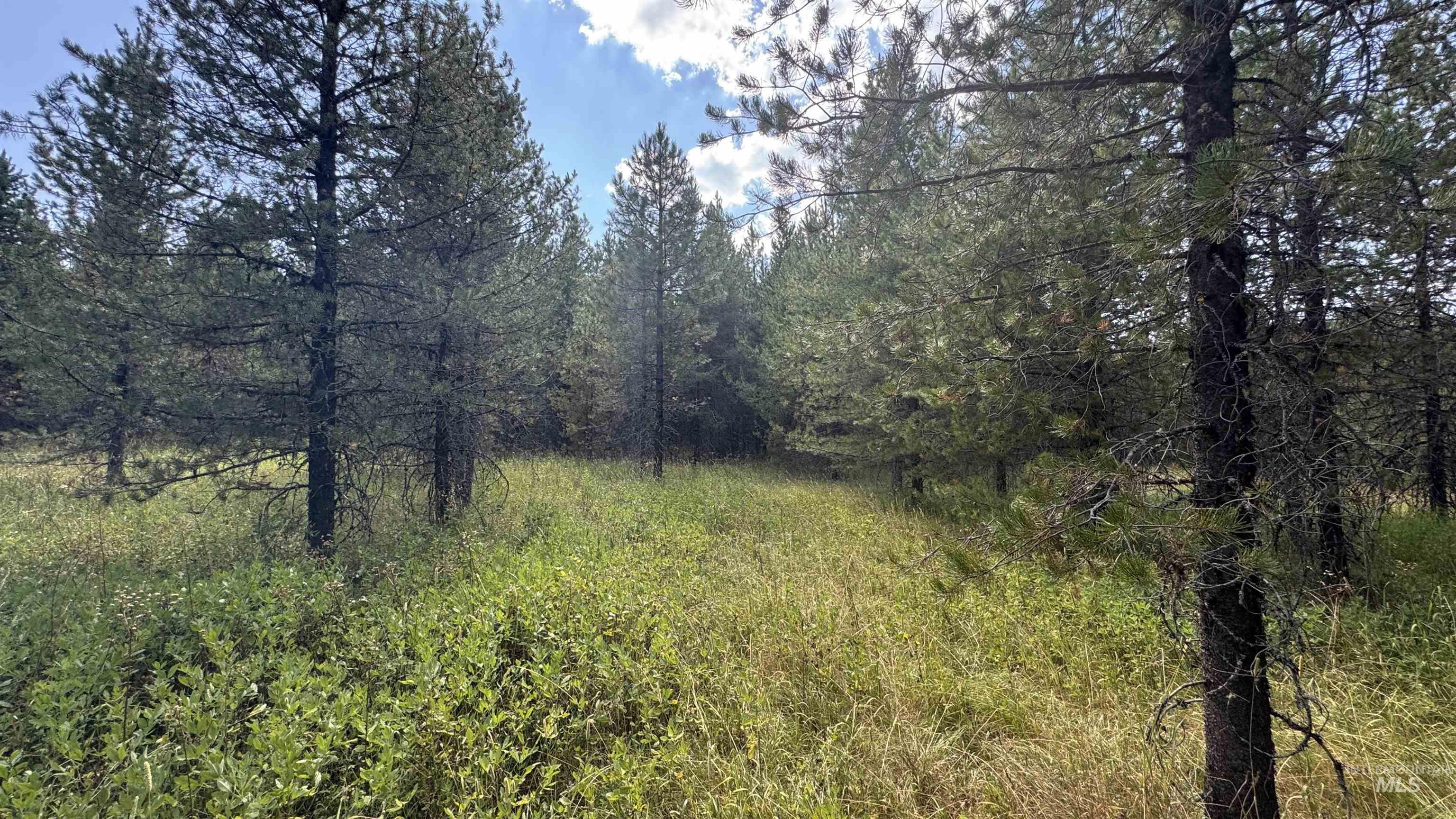 property viewer photo 25