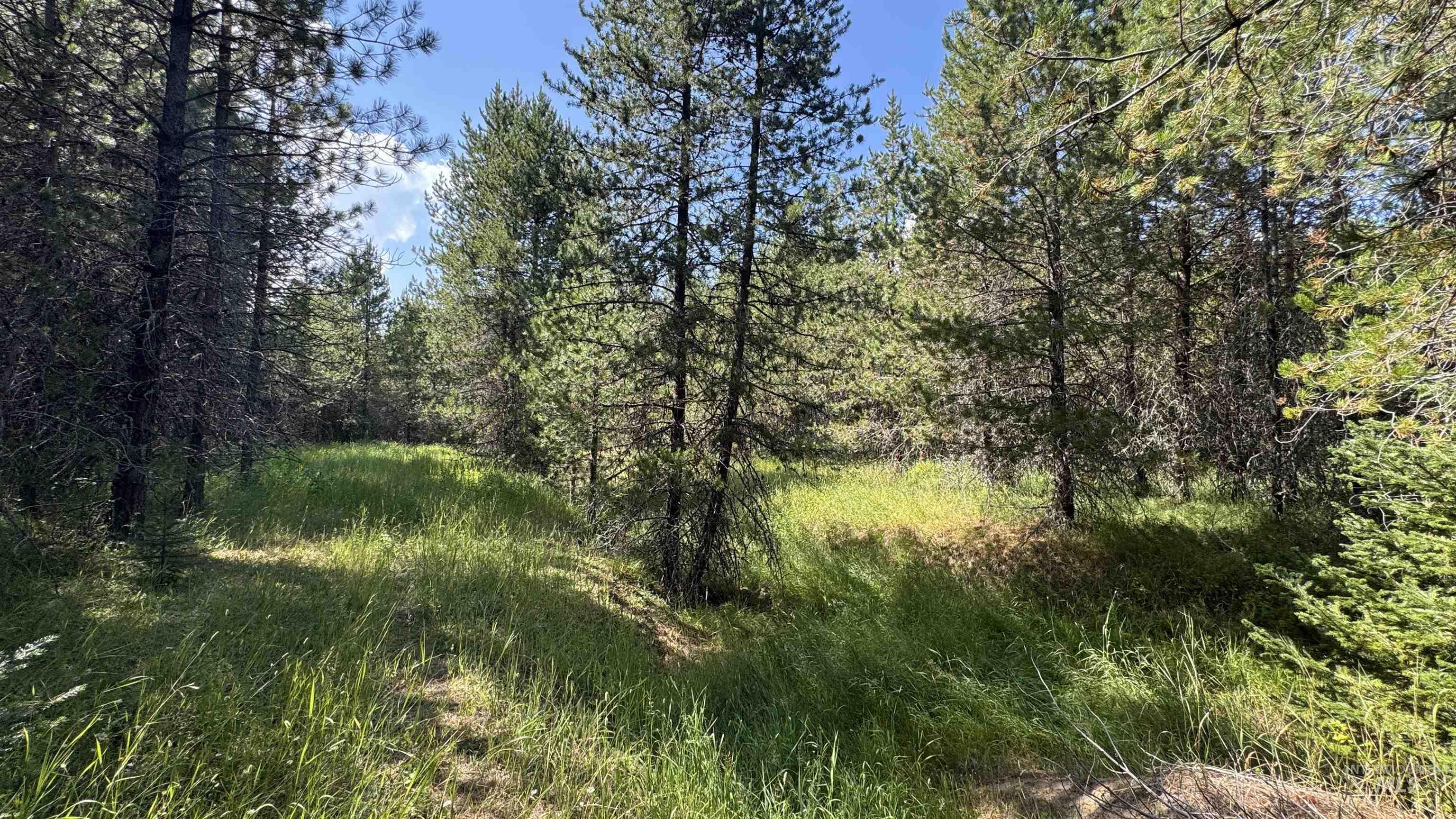 property viewer photo 28