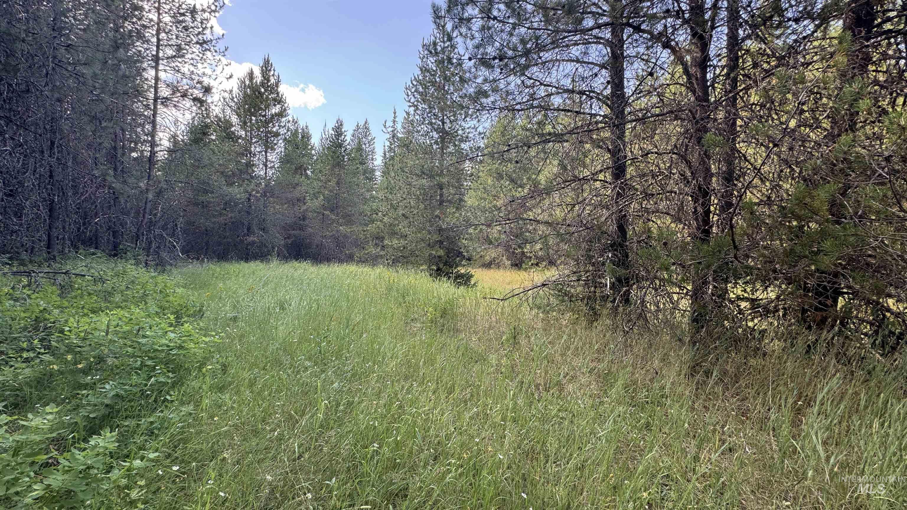 property viewer photo 29