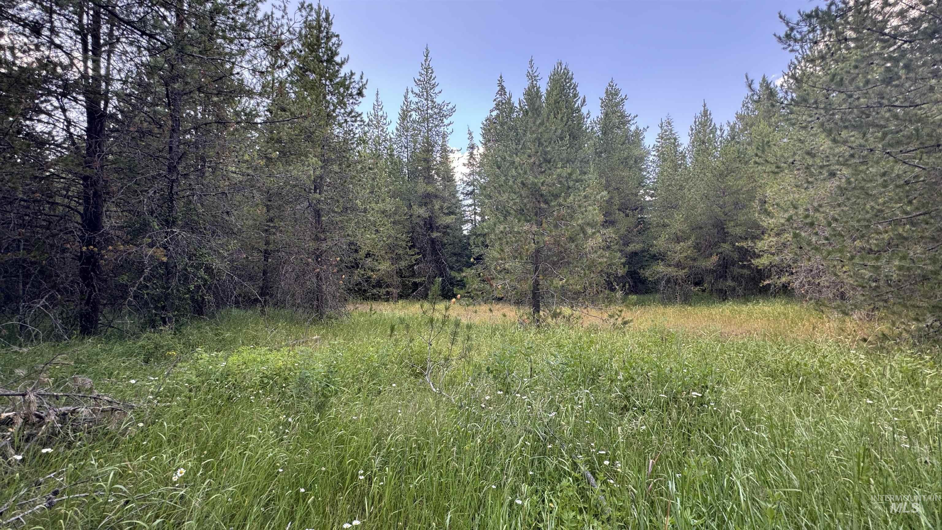 property viewer photo 30