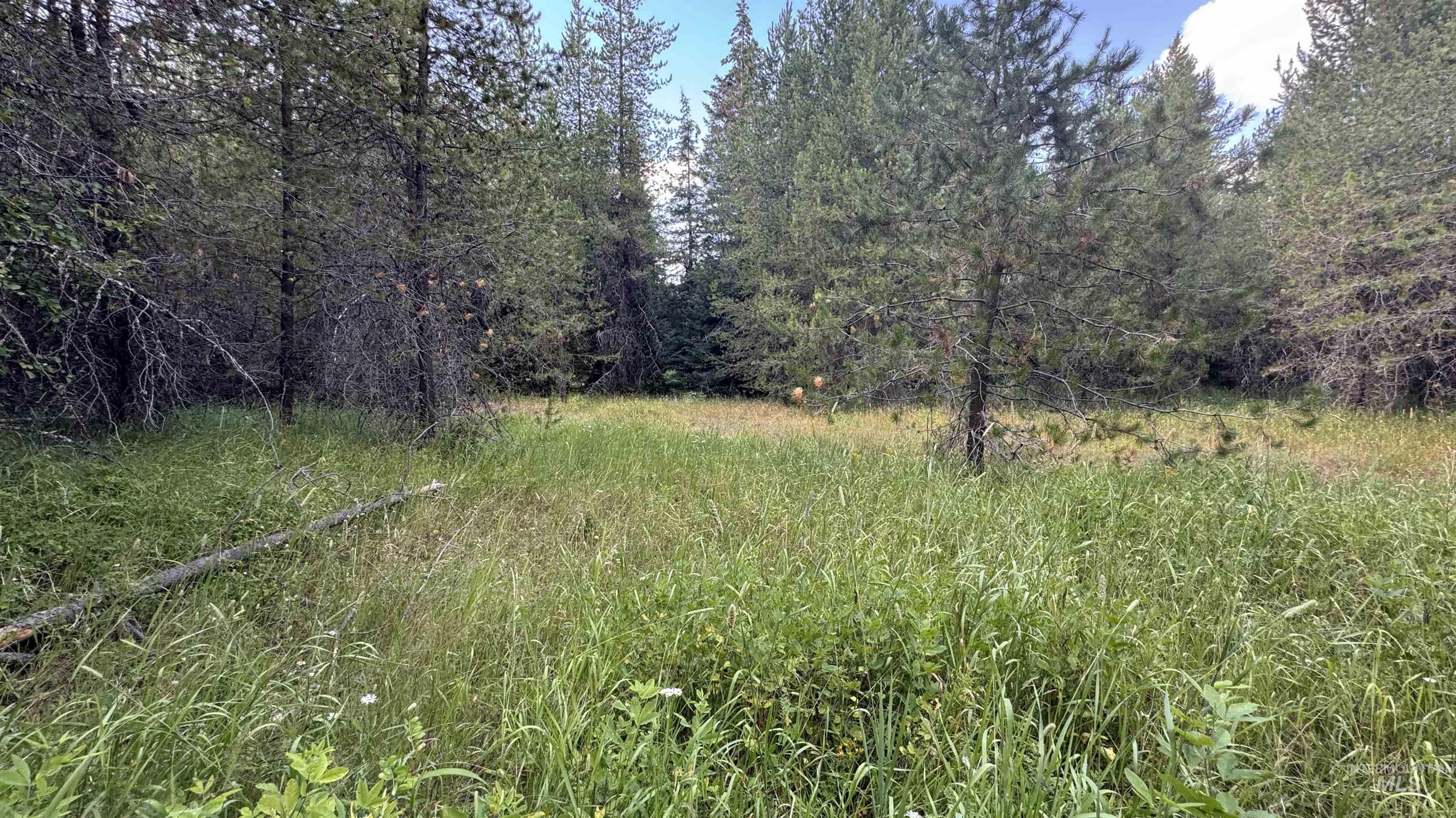 property viewer photo 31