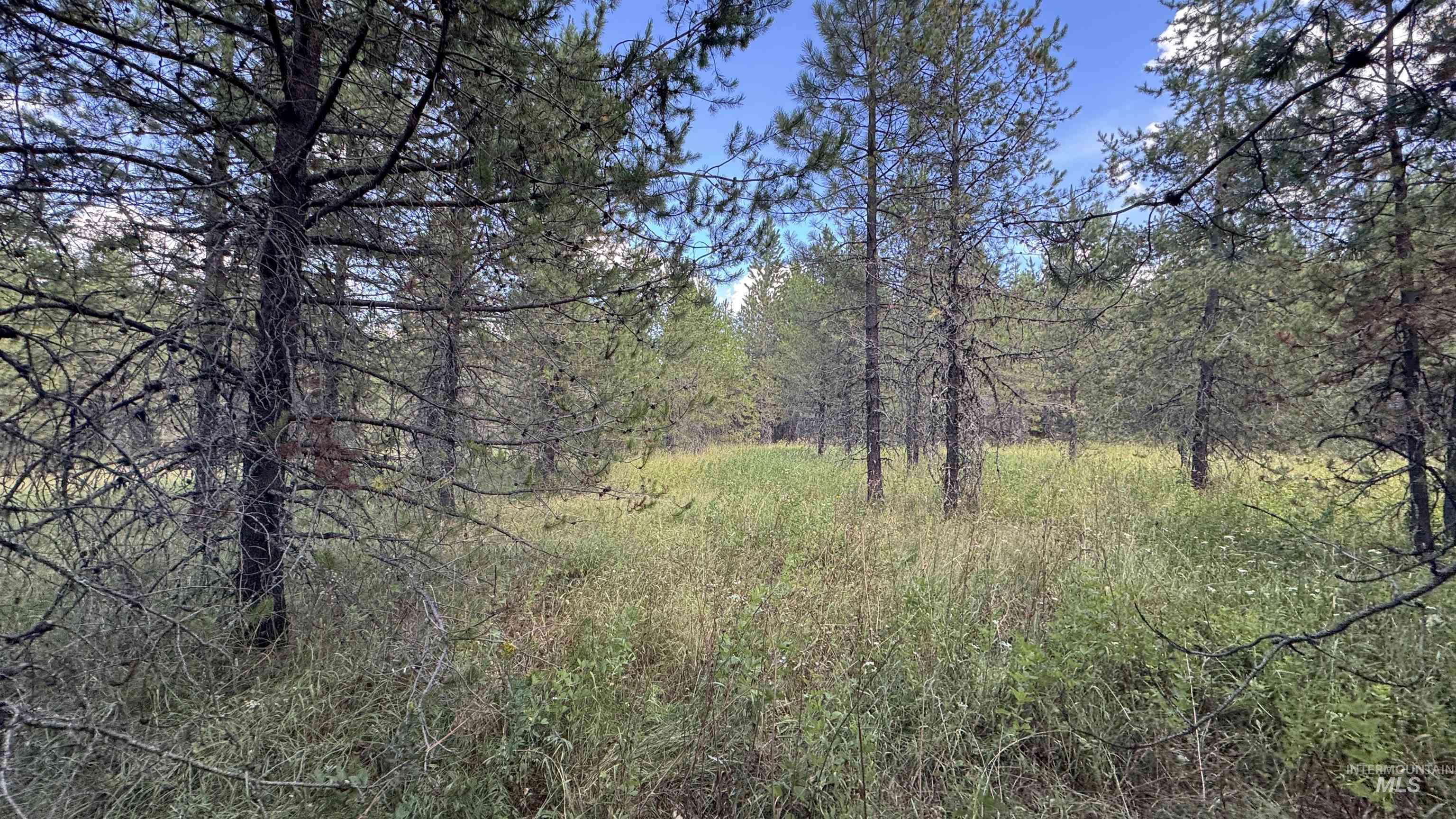 property viewer photo 32
