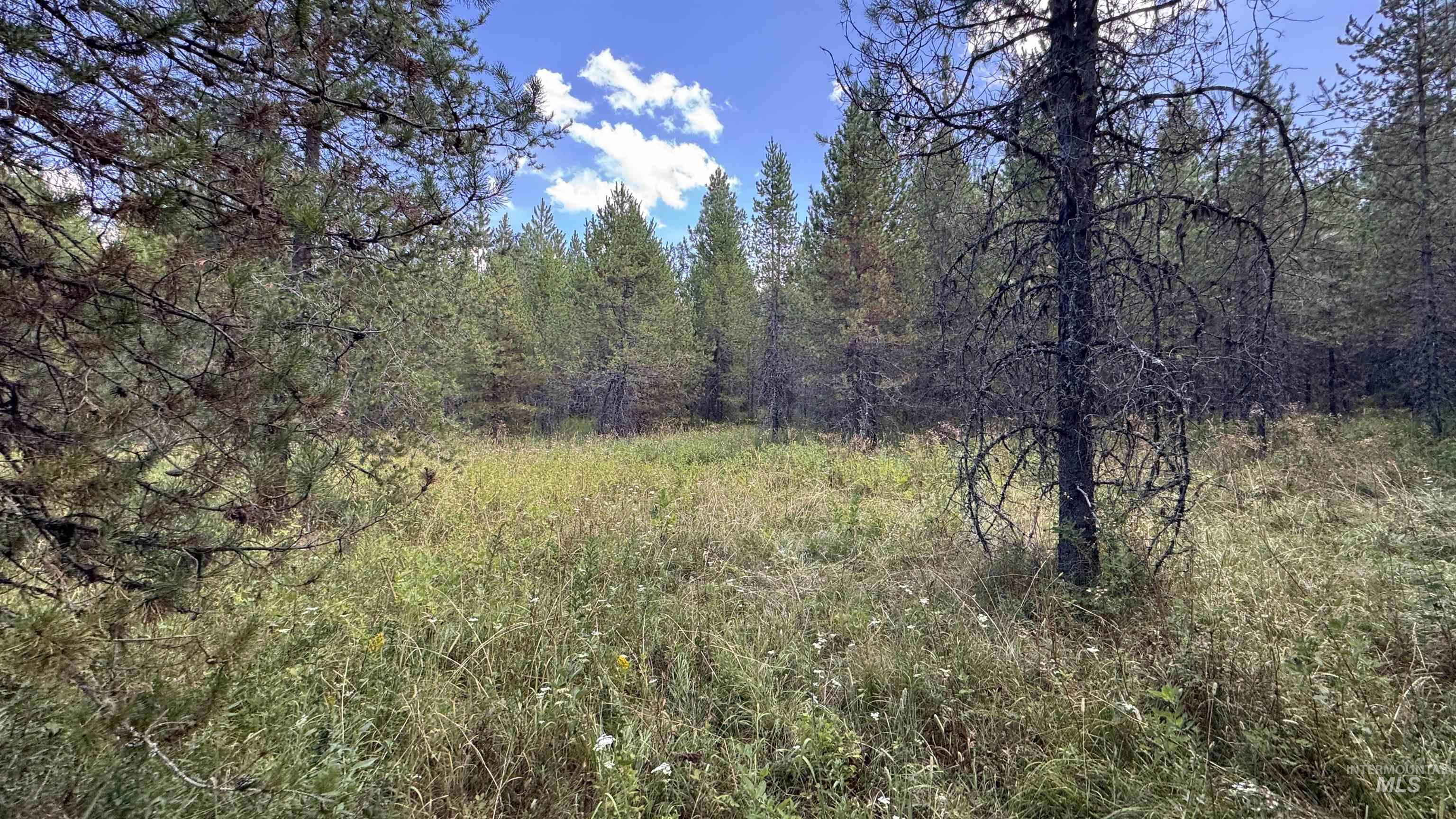 property viewer photo 33