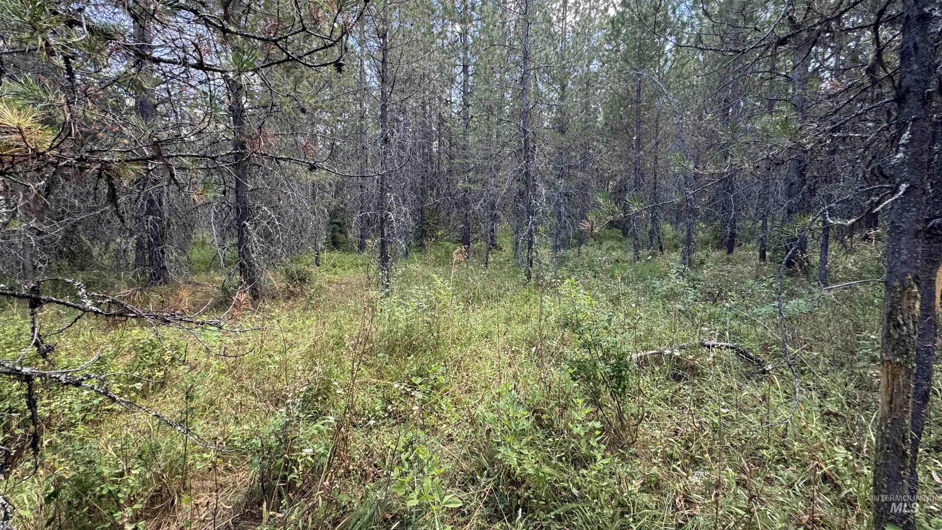 property viewer photo 34