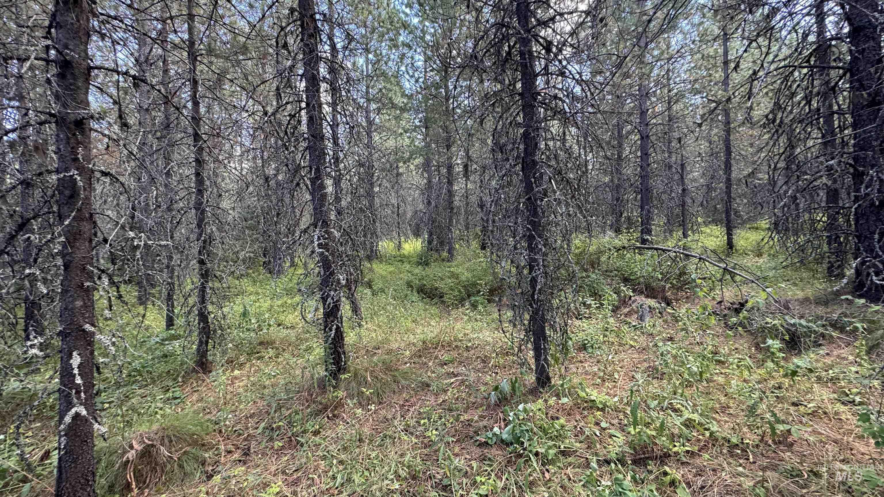 property viewer photo 35