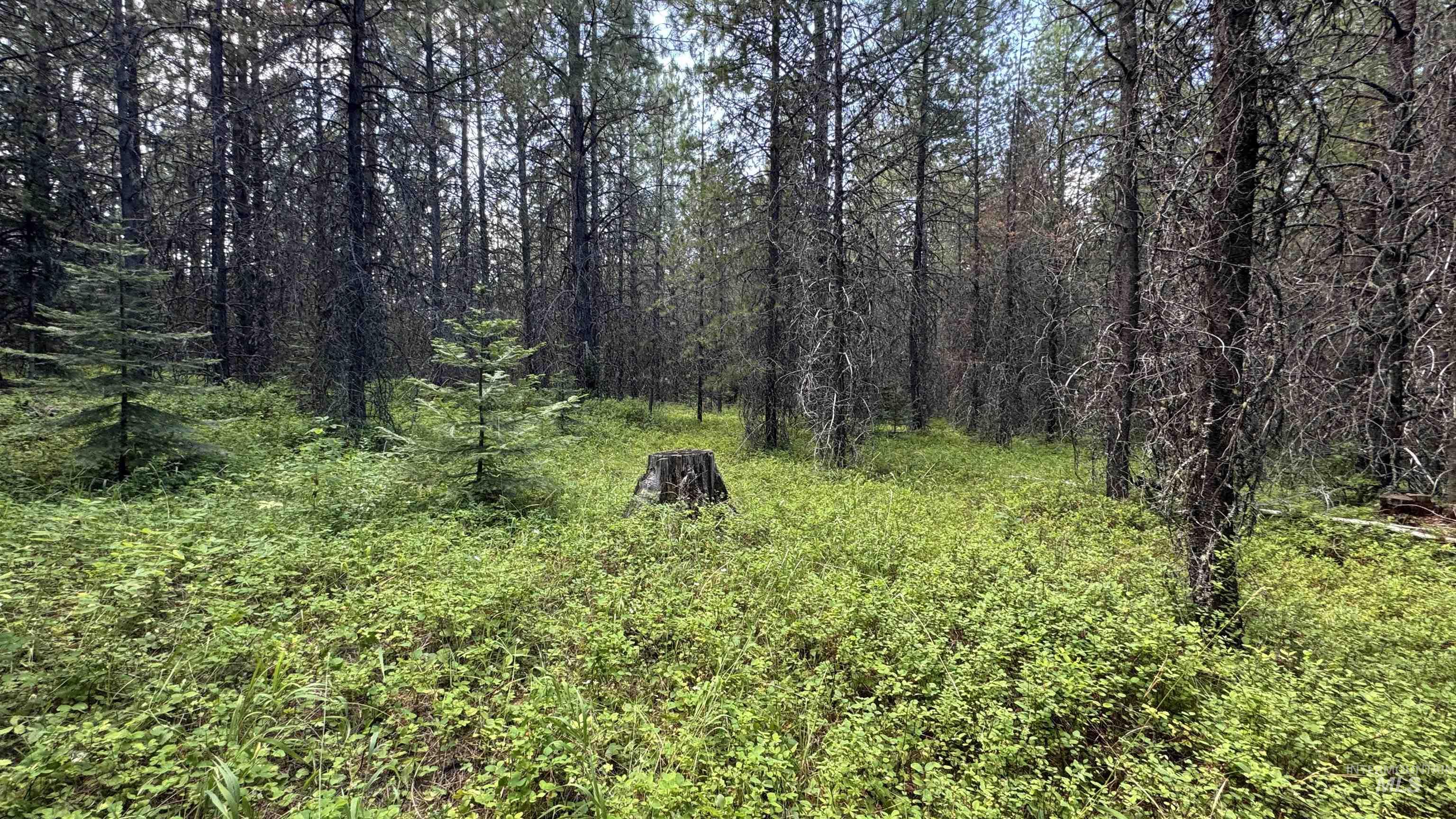 property viewer photo 36