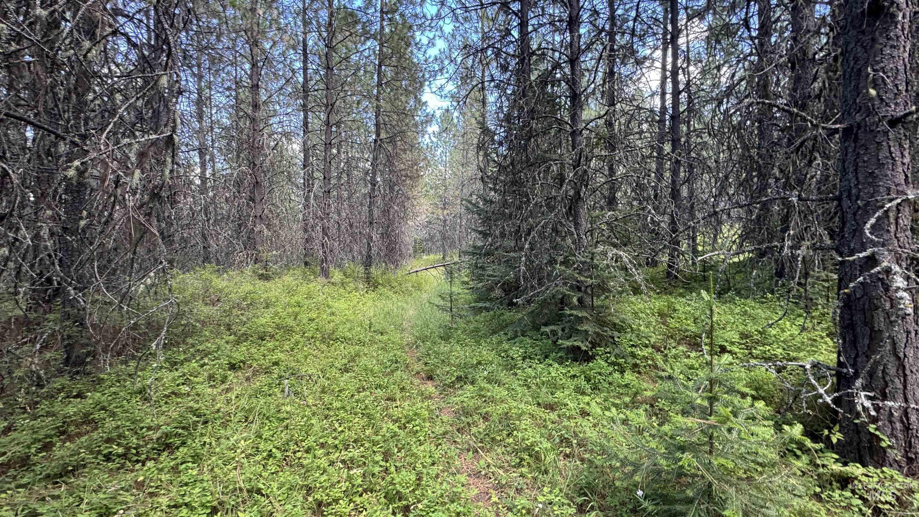 property viewer photo 37